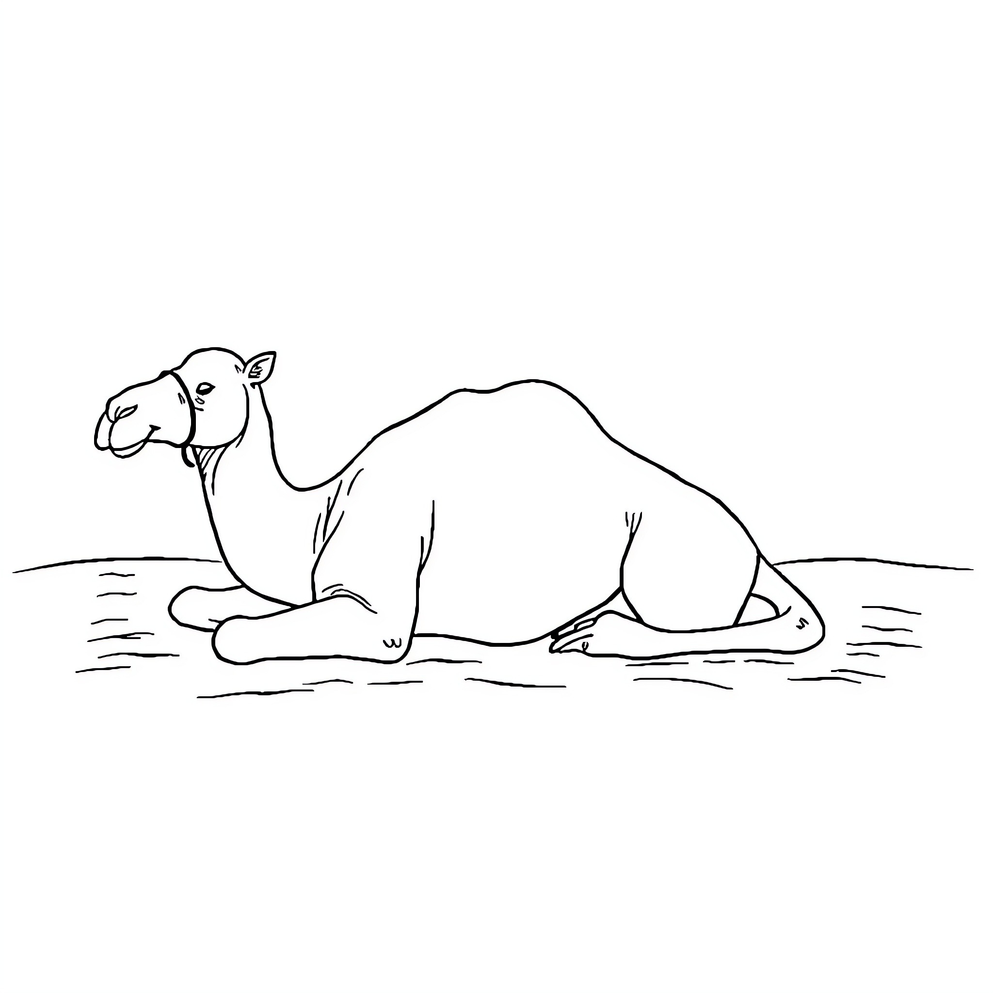Camel resting in desert landscape Coloring Page (free black-and-white line drawing printable PDF for all, from beginners to advanced learners, including children, teens, adults, and seniors)