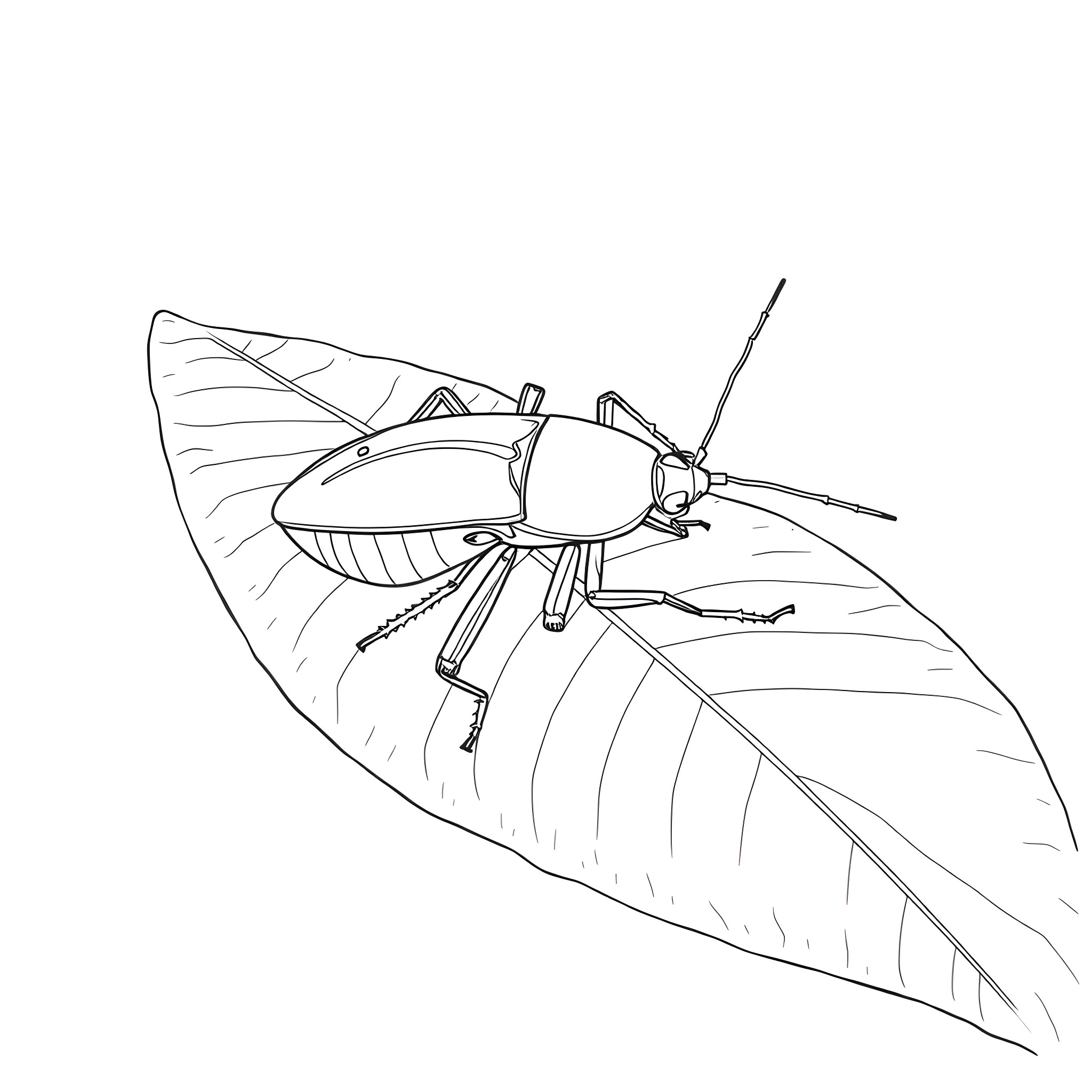 Cockroach crawling on a leaf Coloring Page (free black-and-white line drawing printable PDF for all, from beginners to advanced learners, including children, teens, adults, and seniors)