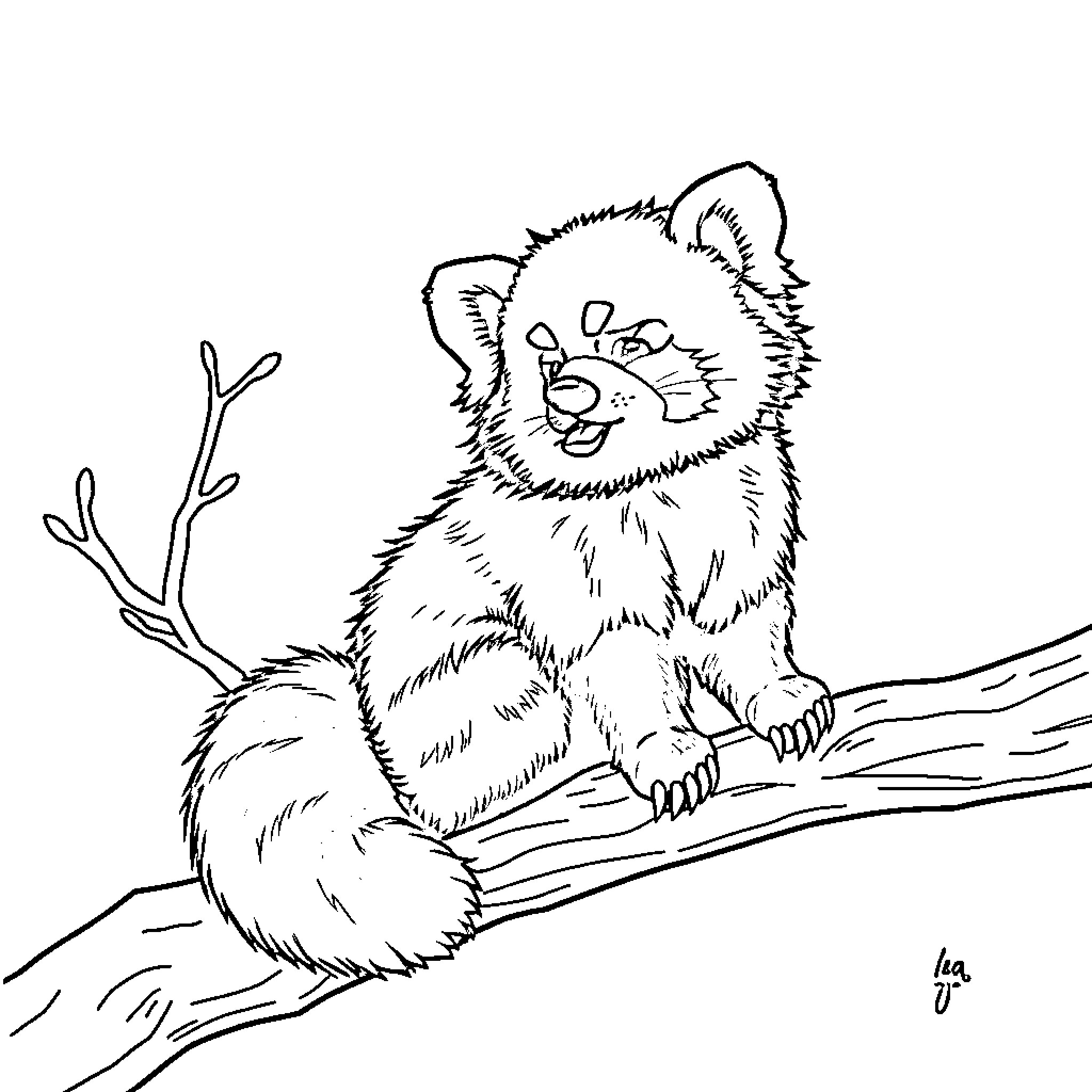 Panda Sitting Playfully on Branch Coloring Page (free black-and-white line drawing printable PDF for all, from beginners to advanced learners, including children, teens, adults, and seniors)