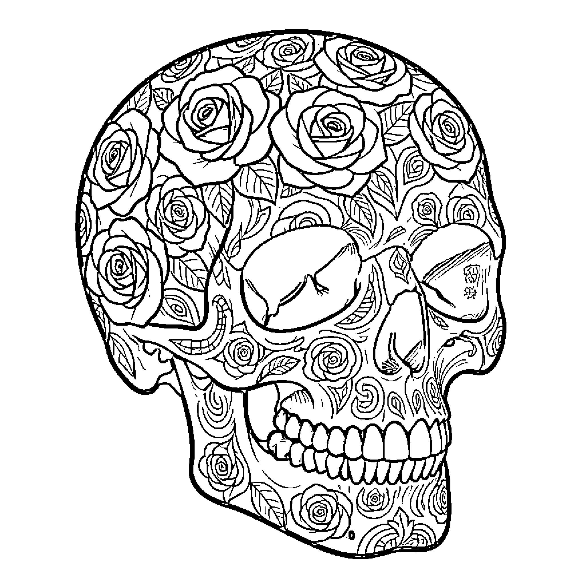 Skull adorned with intricate rose patterns Coloring Page (free black-and-white line drawing printable PDF for all, from beginners to advanced learners, including children, teens, adults, and seniors)