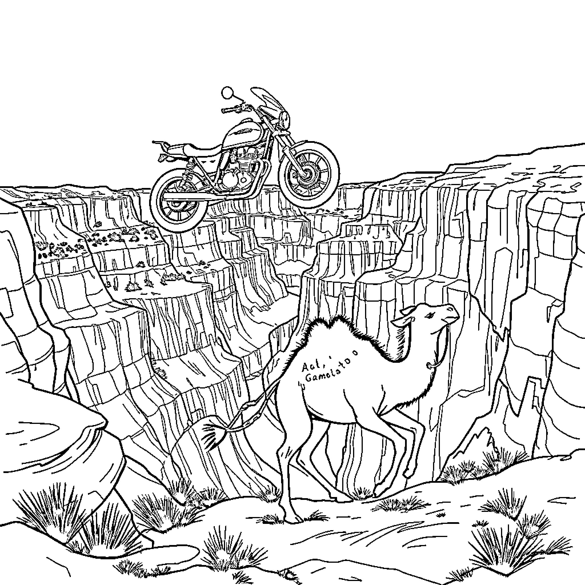Motorcycle jumping over desert canyon with camel Coloring Page (free black-and-white line drawing printable PDF for all, from beginners to advanced learners, including children, teens, adults, and seniors)