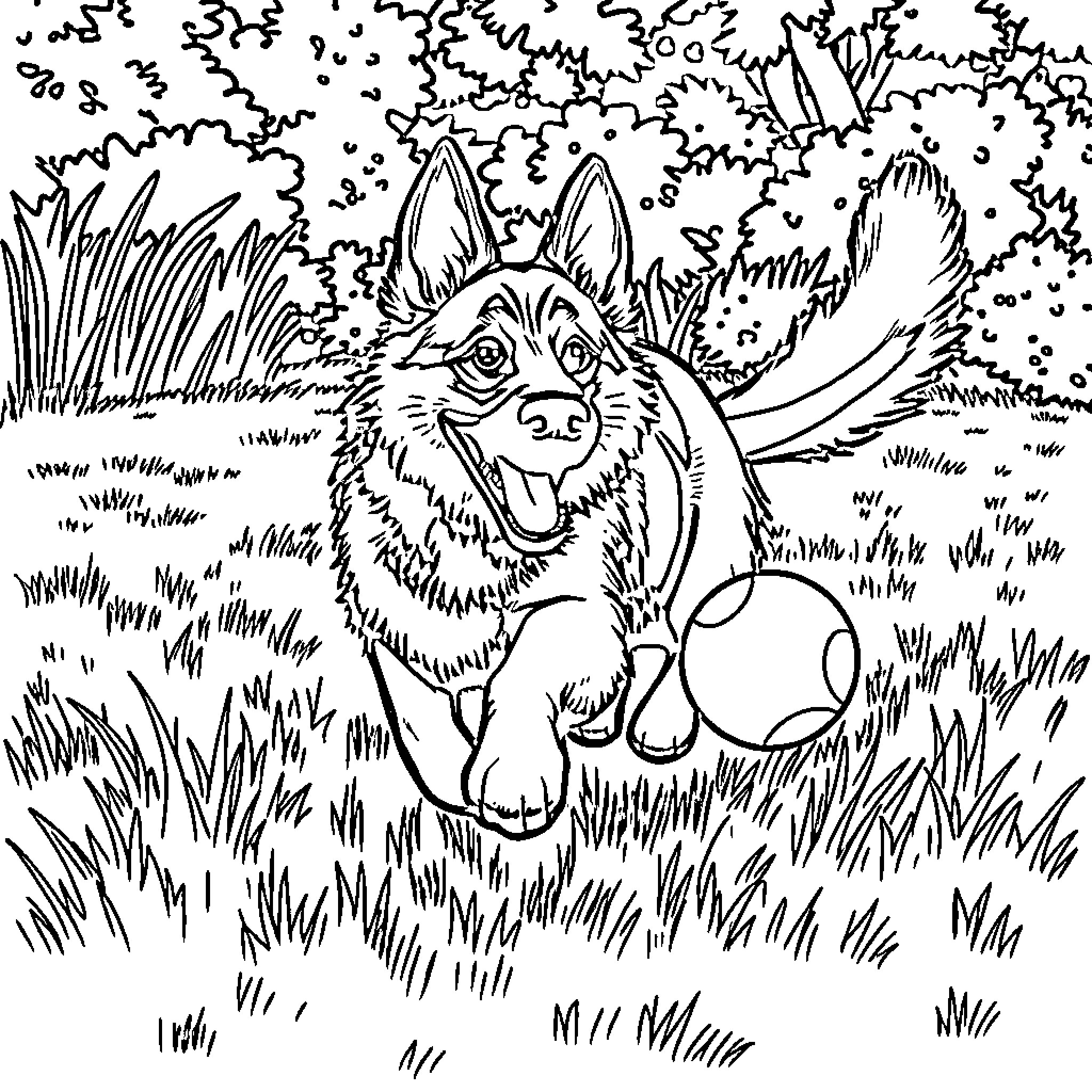 German Shepherd playing happily in the grass Coloring Page (free black-and-white line drawing printable PDF for all, from beginners to advanced learners, including children, teens, adults, and seniors)