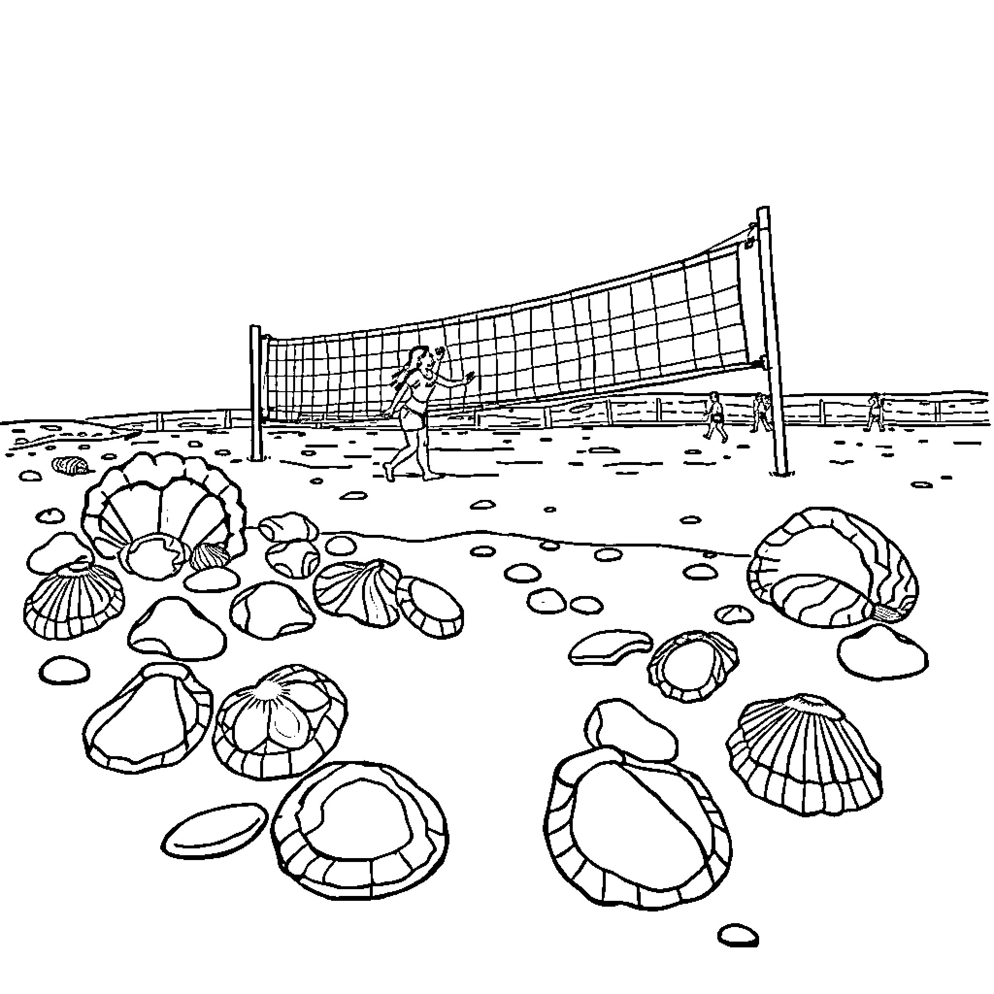 Abalone shells on the beach with a volleyball net Coloring Page (free black-and-white line drawing printable PDF for all, from beginners to advanced learners, including children, teens, adults, and seniors)