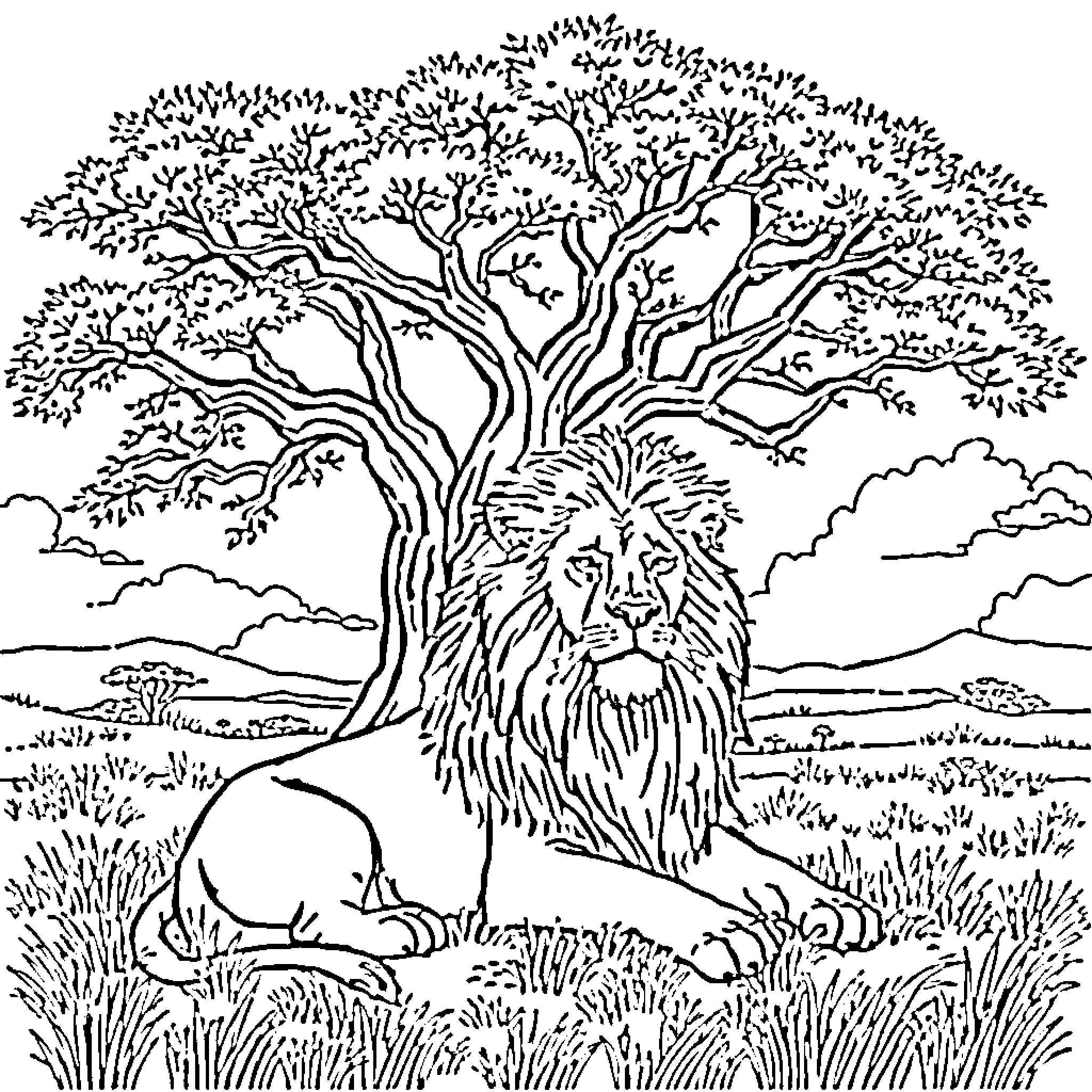 Lion resting peacefully under a large tree Coloring Page (free black-and-white line drawing printable PDF for all, from beginners to advanced learners, including children, teens, adults, and seniors)