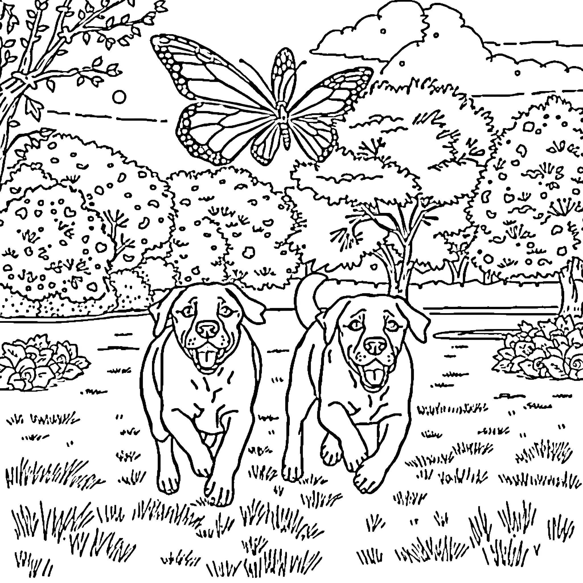 Butterfly friends explore the scenic outdoors Coloring Page (free black-and-white line drawing printable PDF for all, from beginners to advanced learners, including children, teens, adults, and seniors)