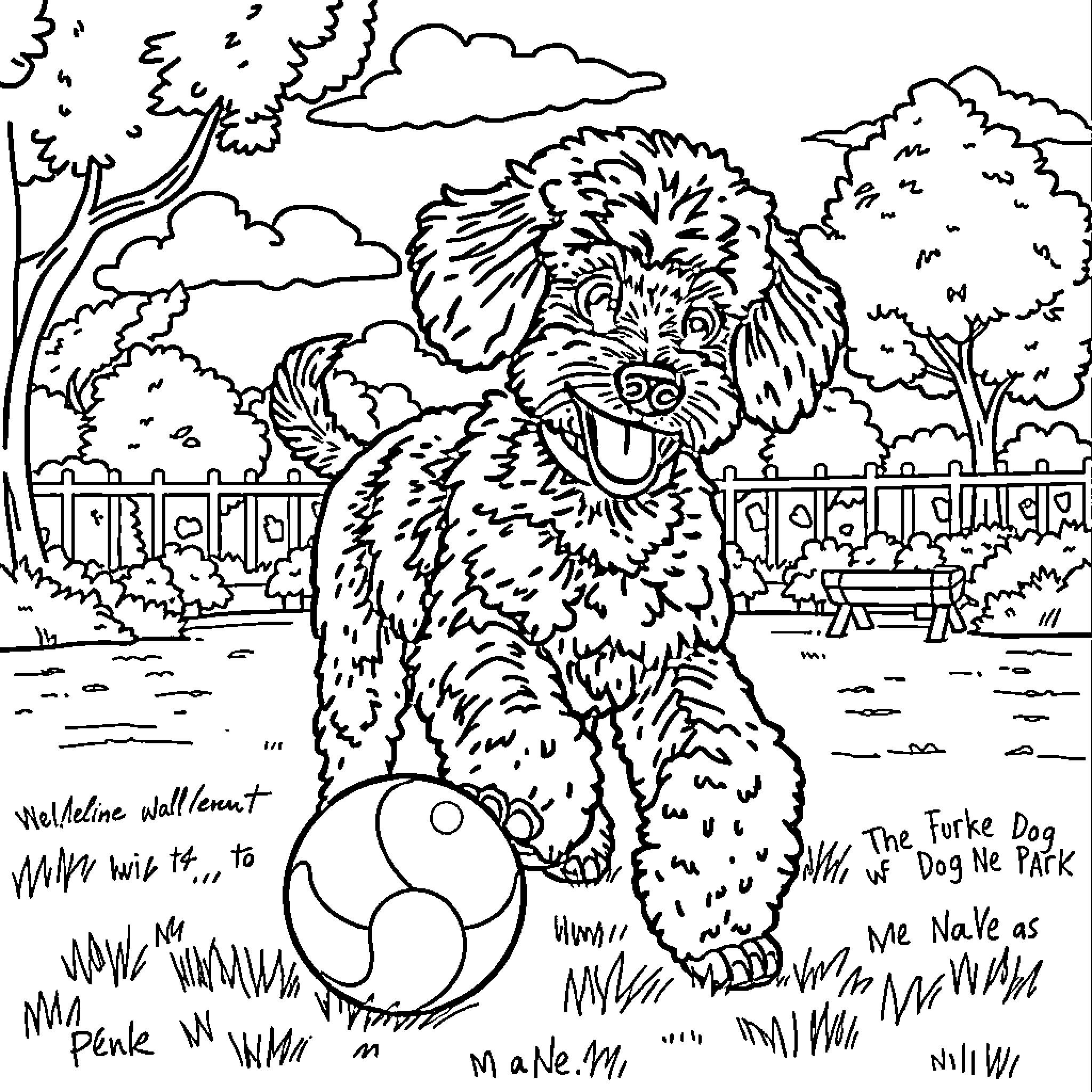 Poodle playing joyfully with a ball in the park Coloring Page (free black-and-white line drawing printable PDF for all, from beginners to advanced learners, including children, teens, adults, and seniors)
