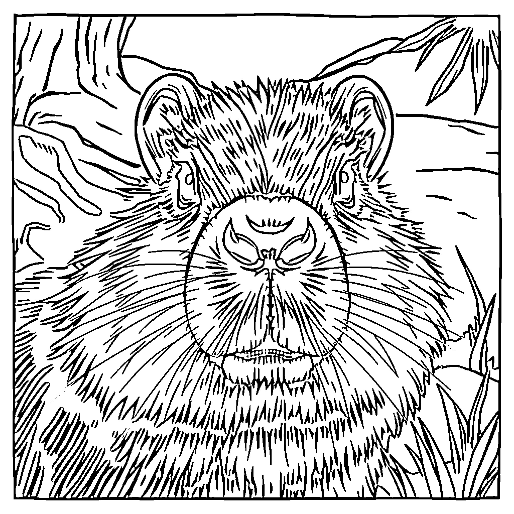 Capybara in the wild, surrounded by nature Coloring Page (free black-and-white line drawing printable PDF for all, from beginners to advanced learners, including children, teens, adults, and seniors)