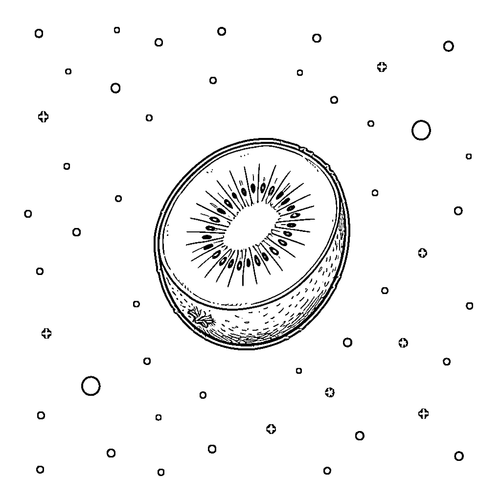 Kiwi slice in a whimsical setting Coloring Page (free black-and-white line drawing printable PDF for all, from beginners to advanced learners, including children, teens, adults, and seniors)