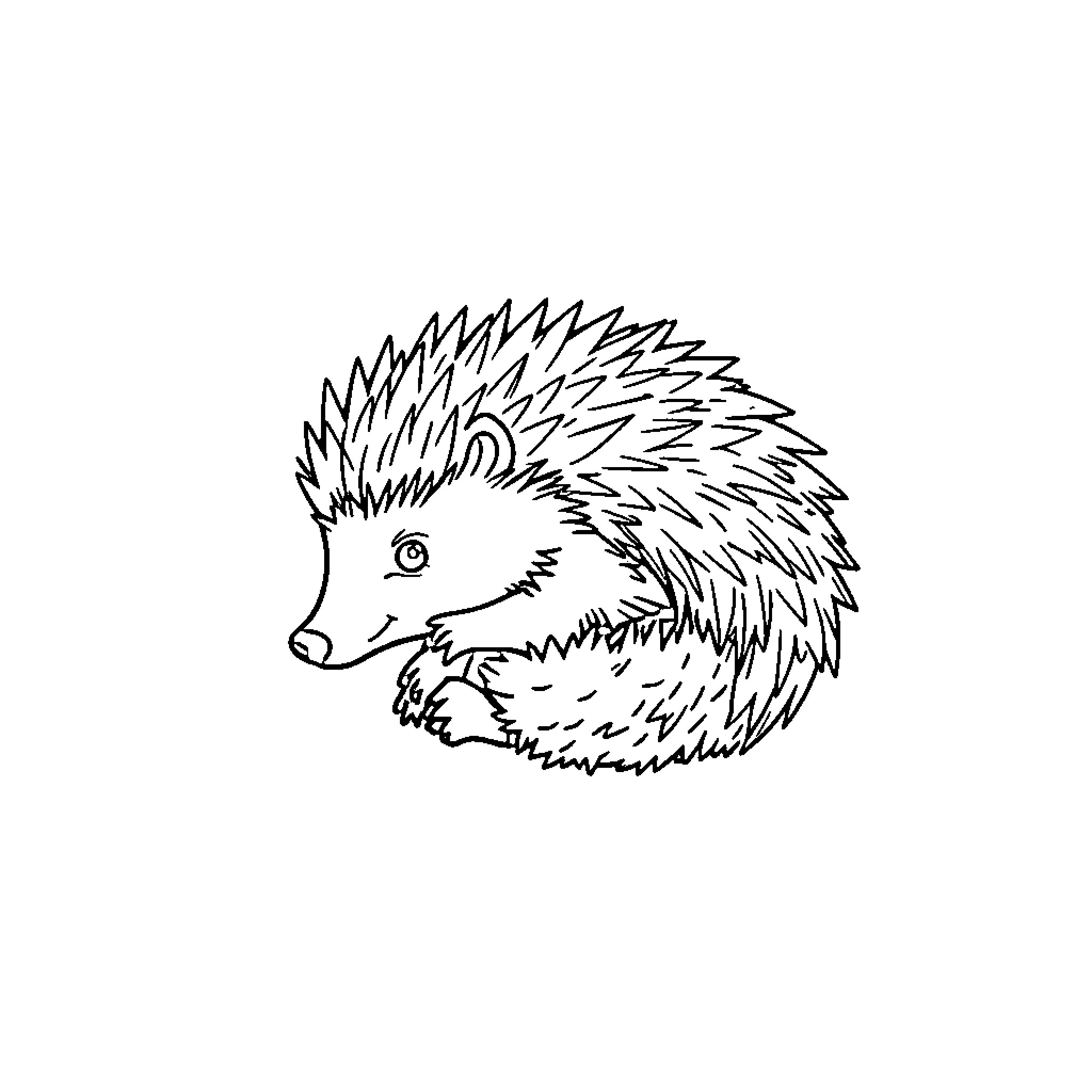 Hedgehog in simple black and white sketch Coloring Page (free black-and-white line drawing printable PDF for all, from beginners to advanced learners, including children, teens, adults, and seniors)
