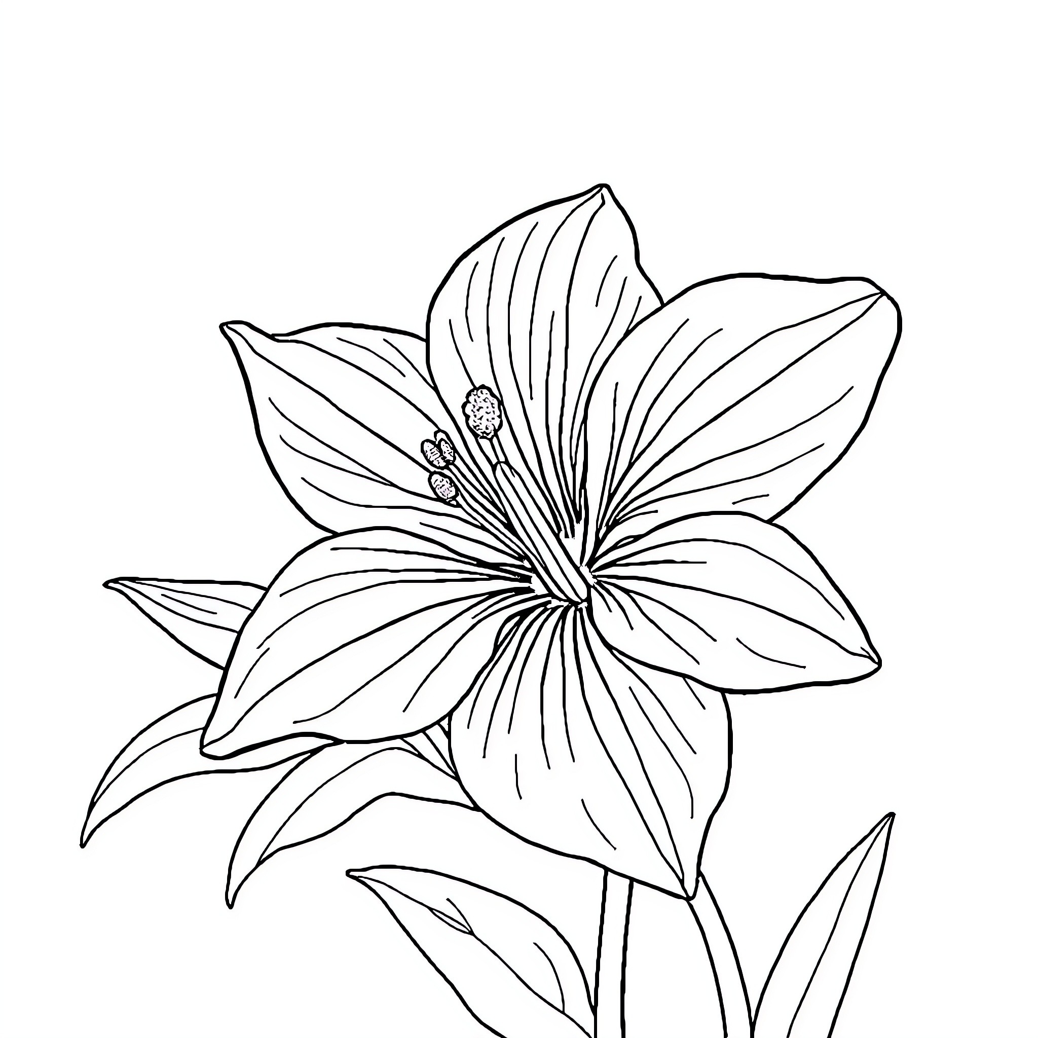 Hummingbird hovering near exotic flower Coloring Page (free black-and-white line drawing printable PDF for all, from beginners to advanced learners, including children, teens, adults, and seniors)