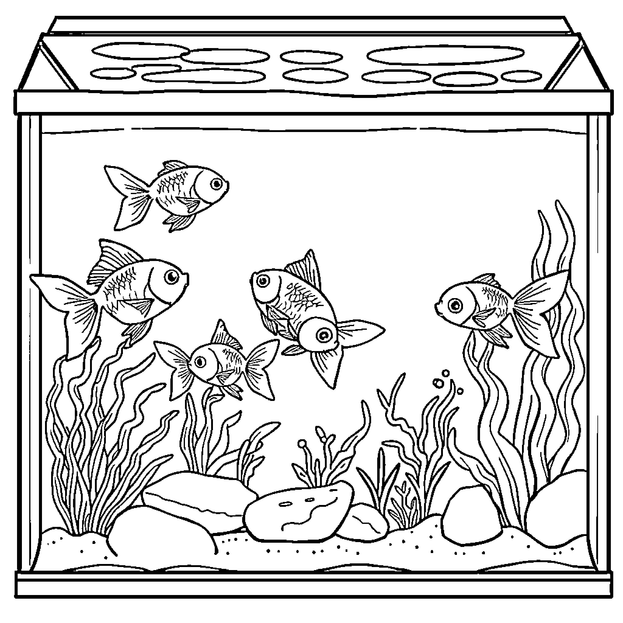 Goldfish swimming happily in their aquarium Coloring Page (free black-and-white line drawing printable PDF for all, from beginners to advanced learners, including children, teens, adults, and seniors)