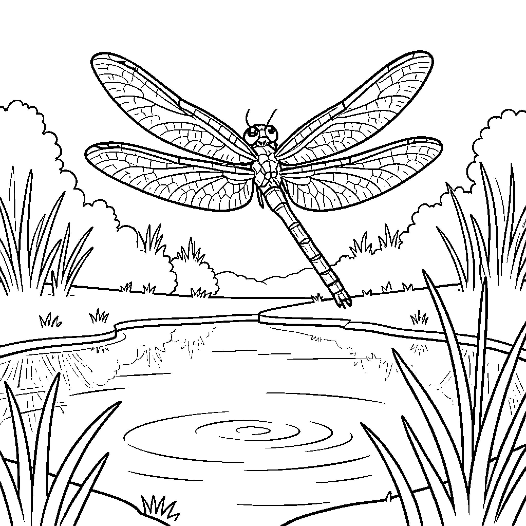 Dragonfly soaring over a serene pond Coloring Page (free black-and-white line drawing printable PDF for all, from beginners to advanced learners, including children, teens, adults, and seniors)