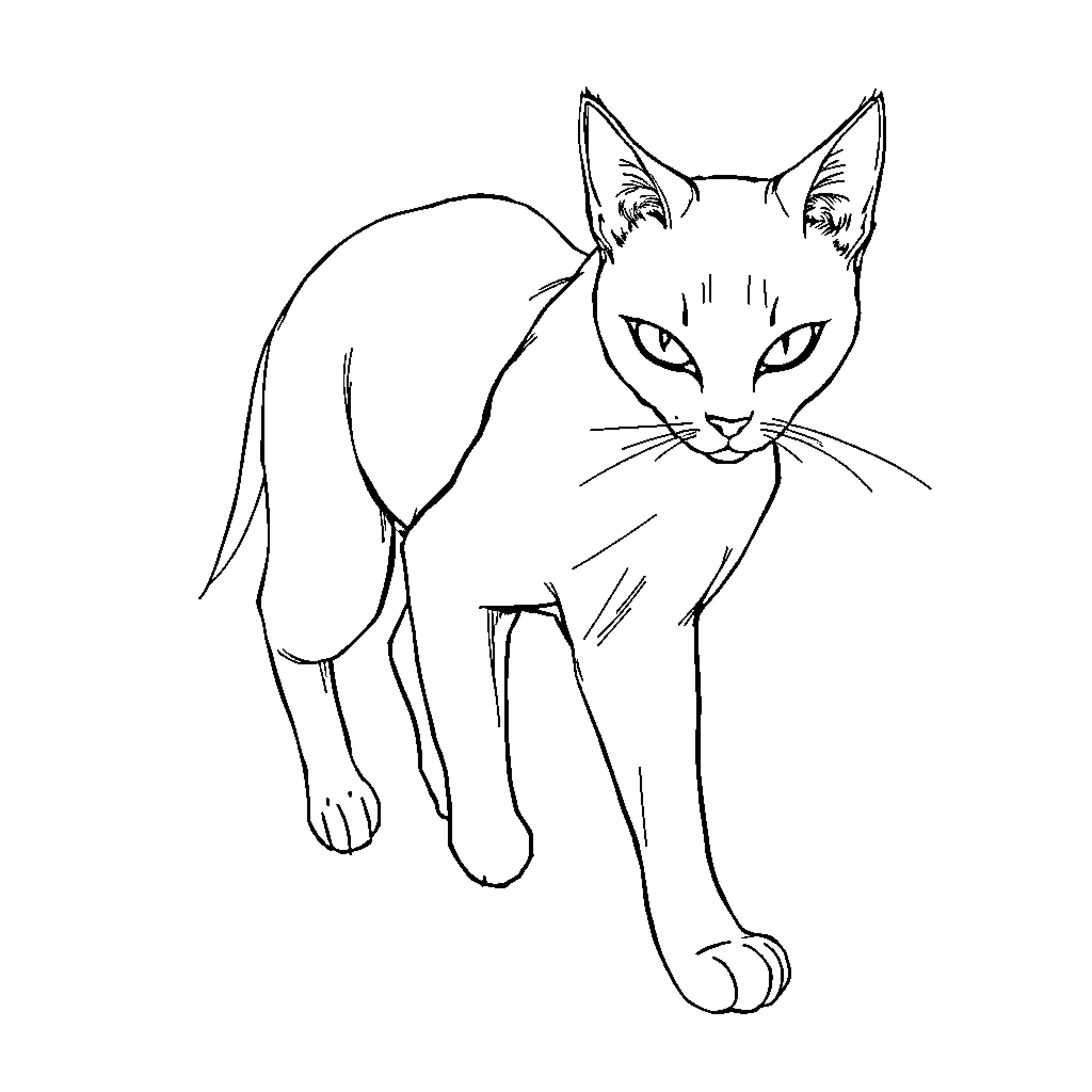 Katseye: Feline Exploration Coloring Page (free black-and-white line drawing printable PDF for all, from beginners to advanced learners, including children, teens, adults, and seniors)