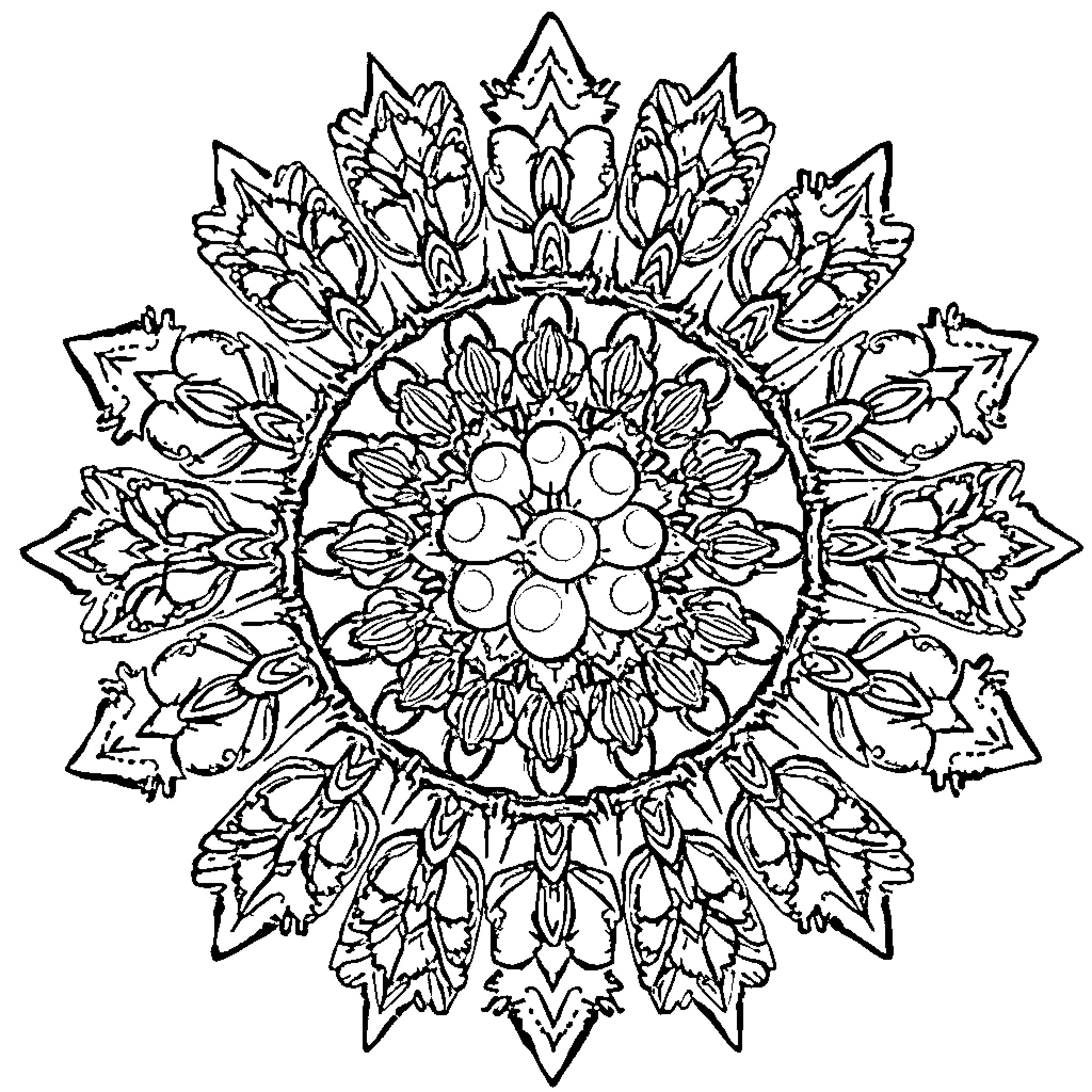 Grape Mandala Design with Intricate Patterns Coloring Page (free black-and-white line drawing printable PDF for all, from beginners to advanced learners, including children, teens, adults, and seniors)