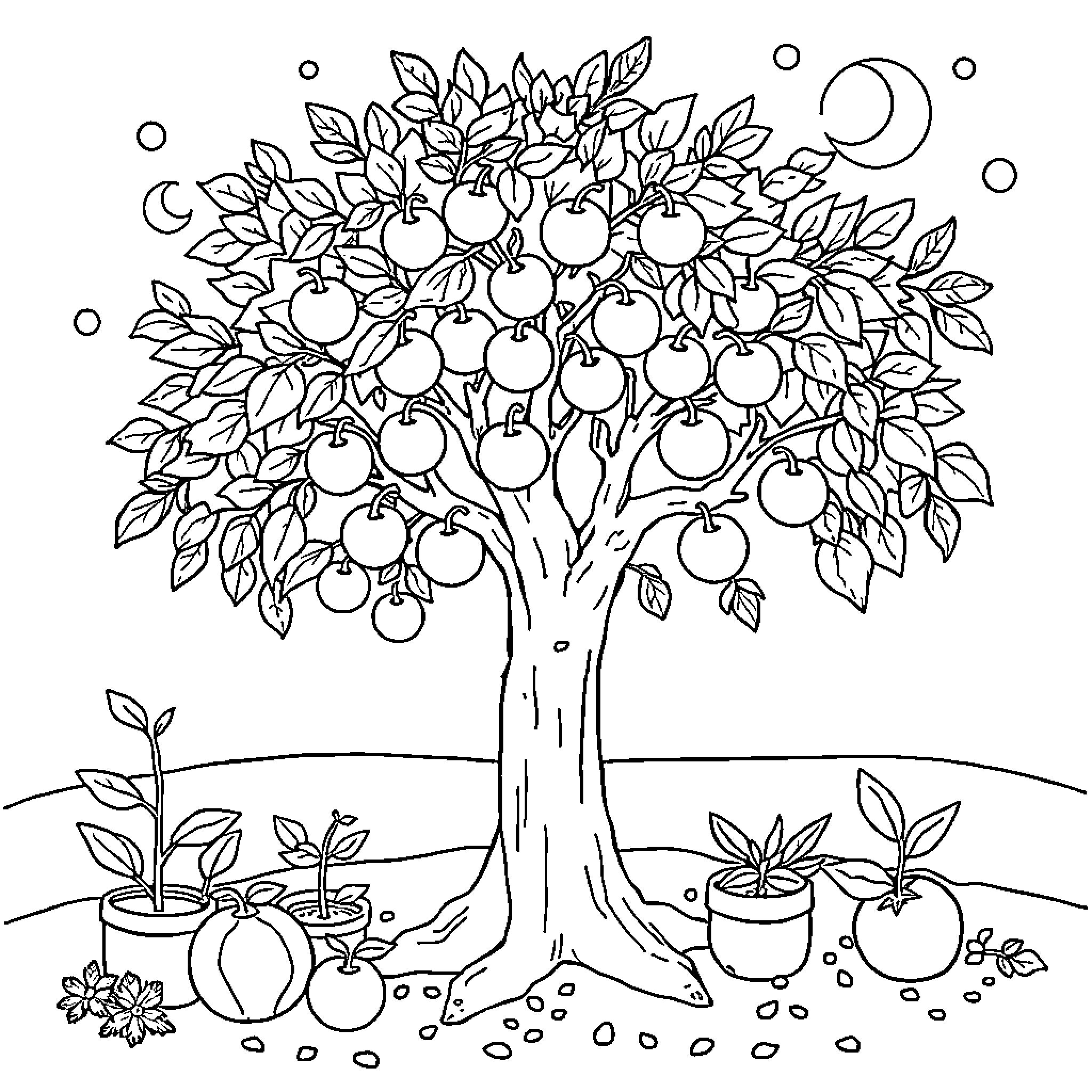 Tree laden with ripe fruit in a garden setting Coloring Page (free black-and-white line drawing printable PDF for all, from beginners to advanced learners, including children, teens, adults, and seniors)