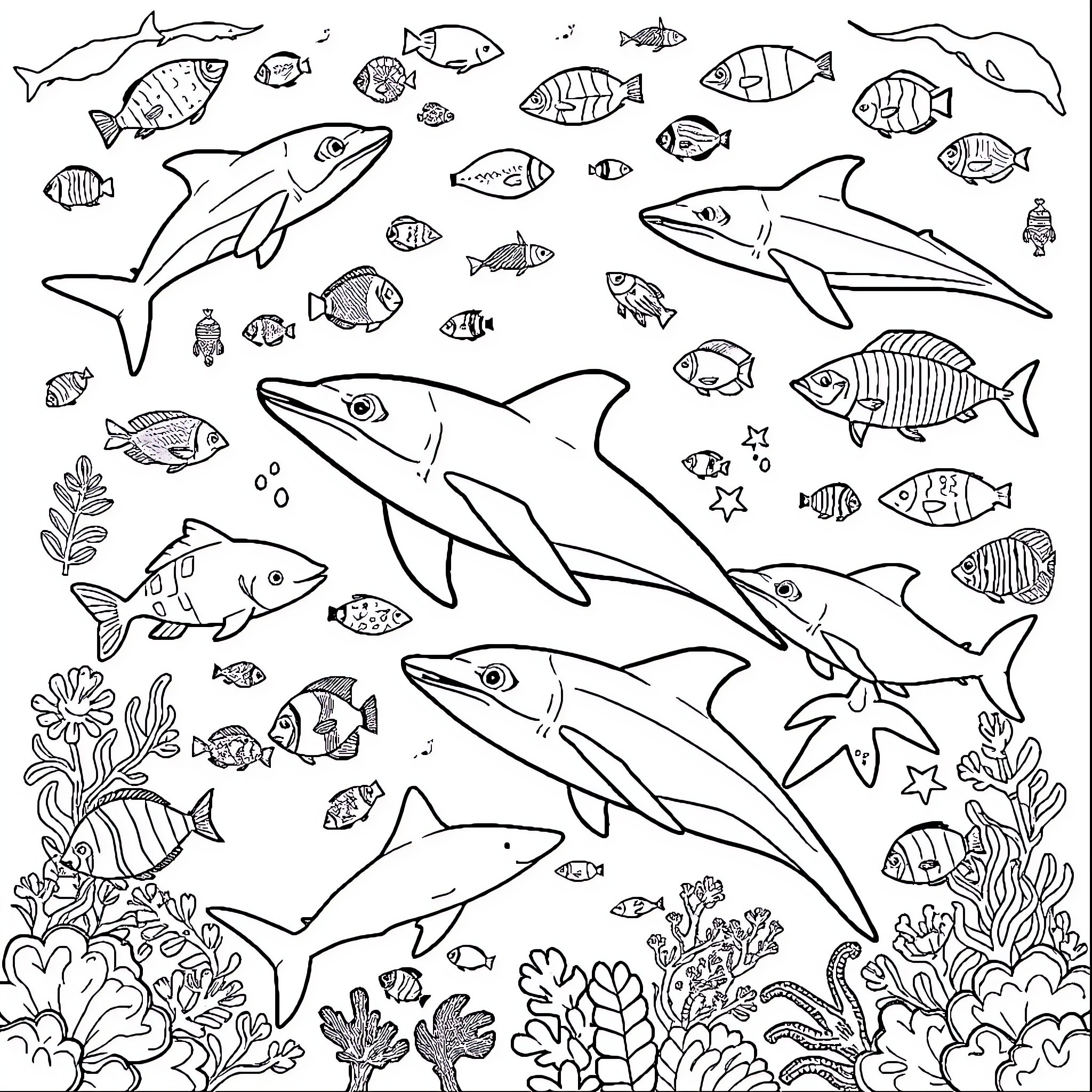 Ocean Animal Encounter with Diverse Sea Creatures Coloring Page (free black-and-white line drawing printable PDF for all, from beginners to advanced learners, including children, teens, adults, and seniors)