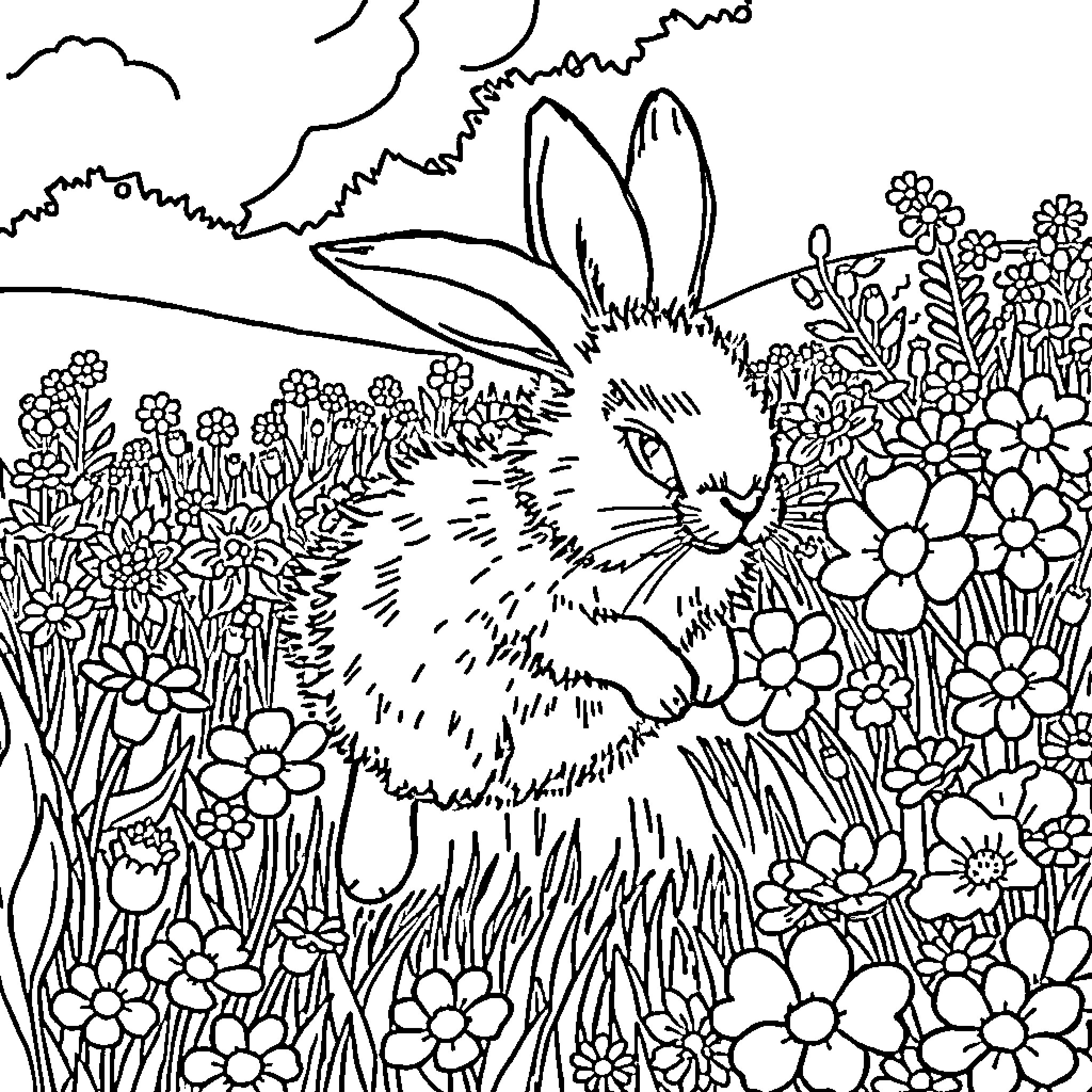 Bunny exploring a colorful floral garden Coloring Page (free black-and-white line drawing printable PDF for all, from beginners to advanced learners, including children, teens, adults, and seniors)