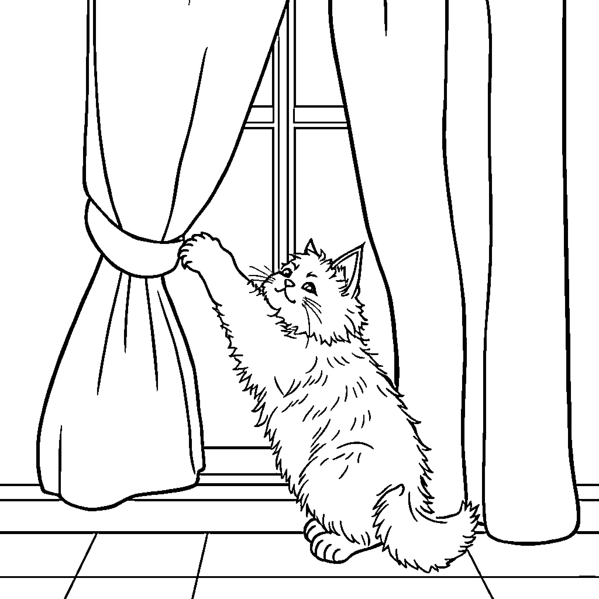 Cat peering through window curtains Coloring Page (free black-and-white line drawing printable PDF for all, from beginners to advanced learners, including children, teens, adults, and seniors)