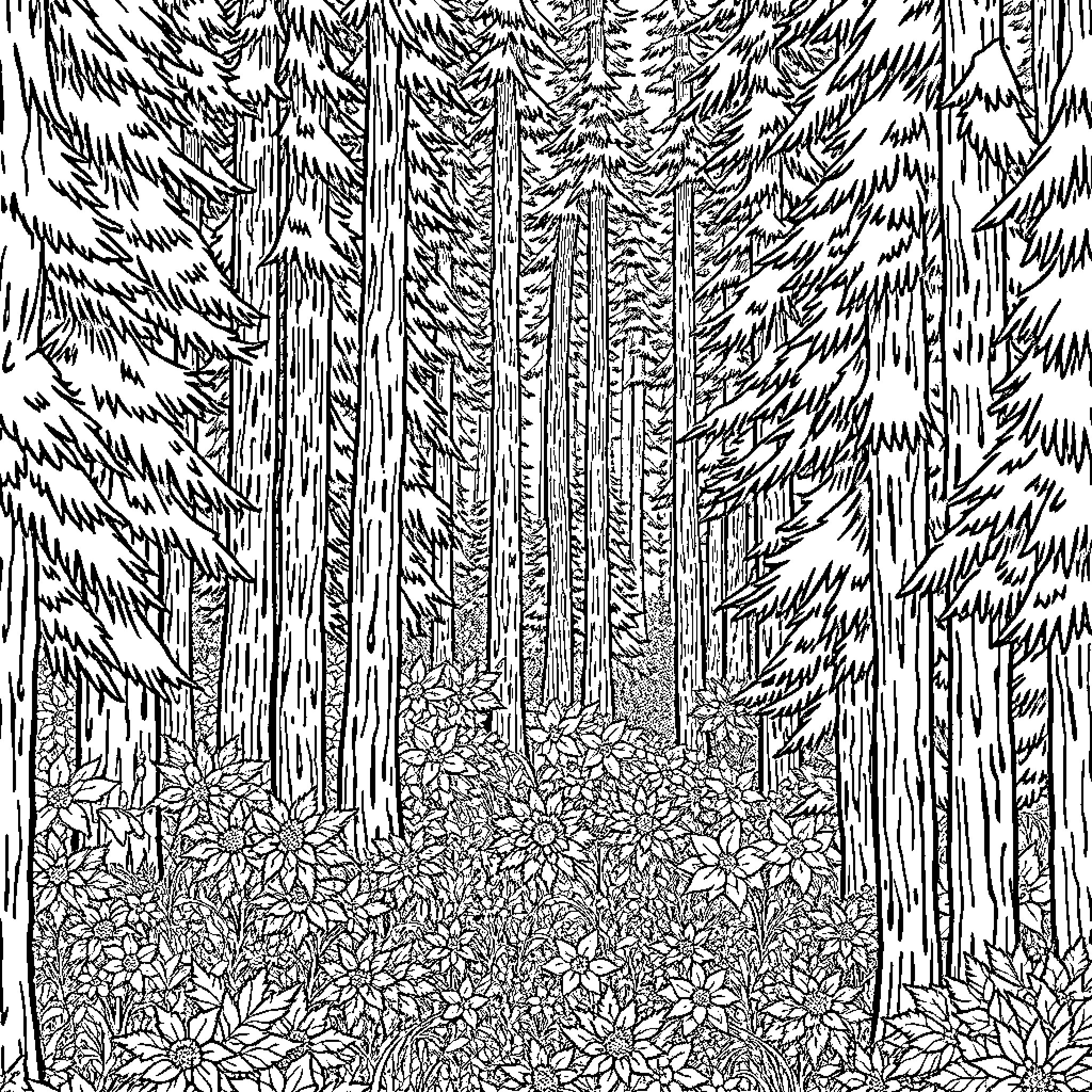 Forest with Intricate Foliage and Undergrowth Coloring Page (free black-and-white line drawing printable PDF for all, from beginners to advanced learners, including children, teens, adults, and seniors)