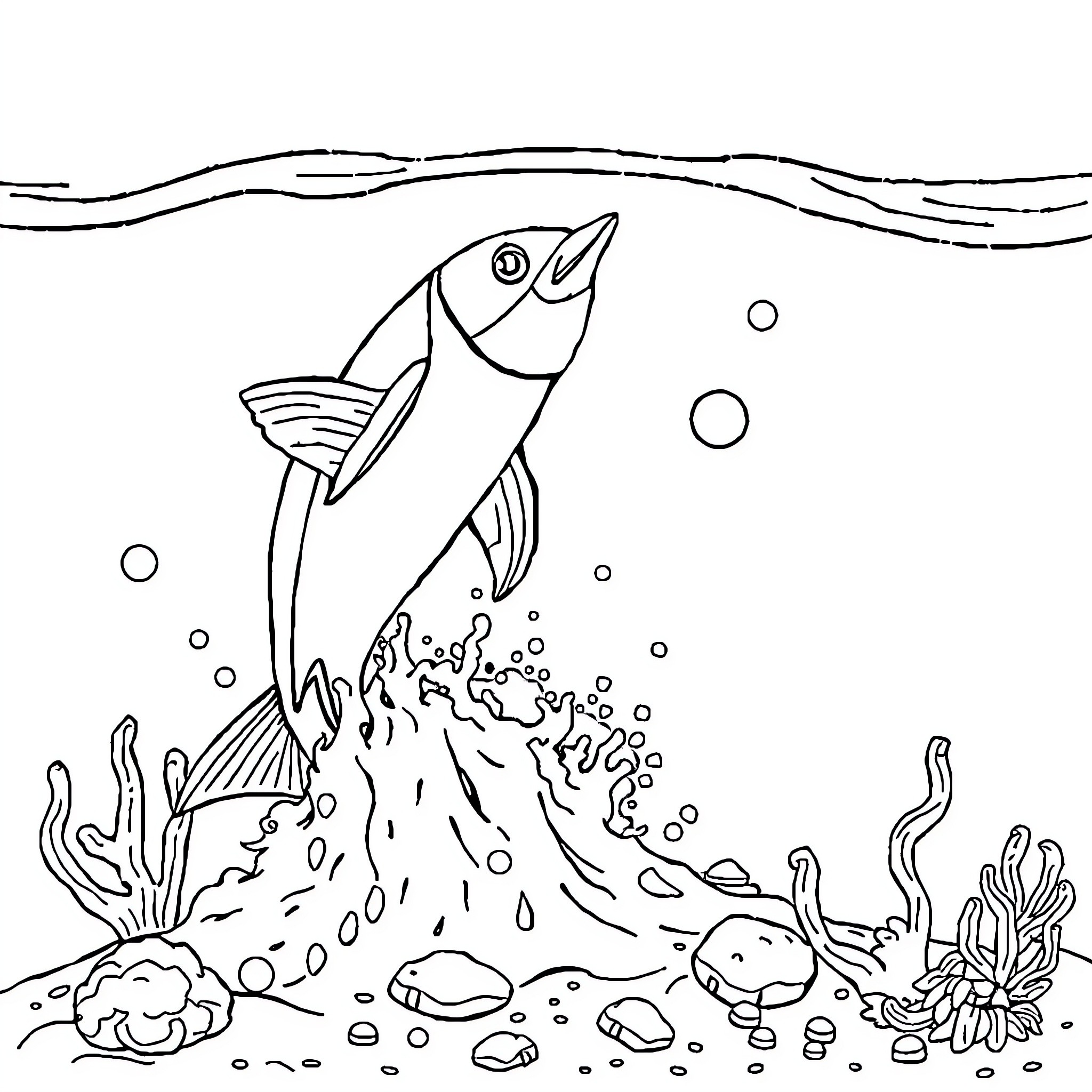 Watermelon fish swimming among underwater plants Coloring Page (free black-and-white line drawing printable PDF for all, from beginners to advanced learners, including children, teens, adults, and seniors)