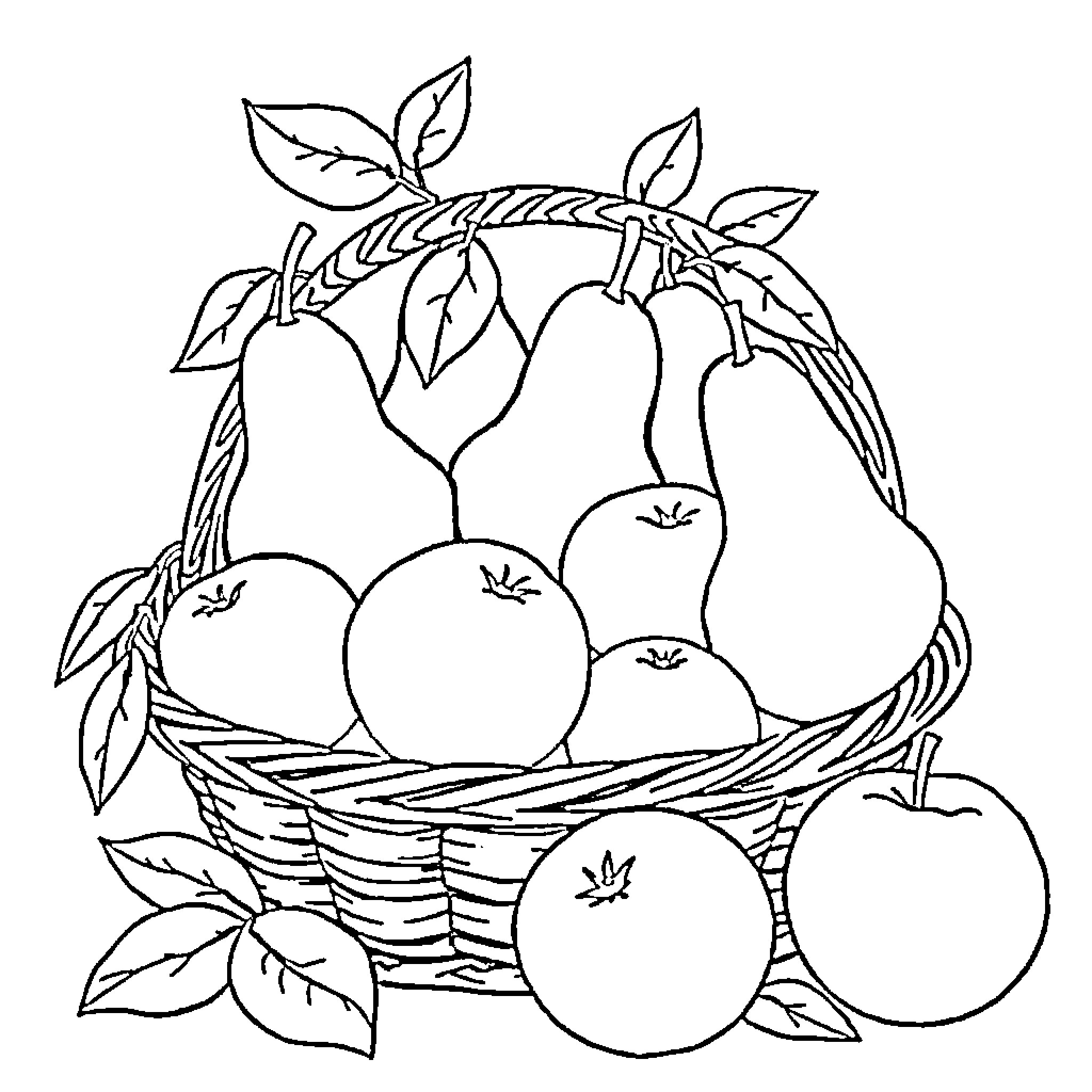 Pear Basket with Variety of Fruits Coloring Page (free black-and-white line drawing printable PDF for all, from beginners to advanced learners, including children, teens, adults, and seniors)