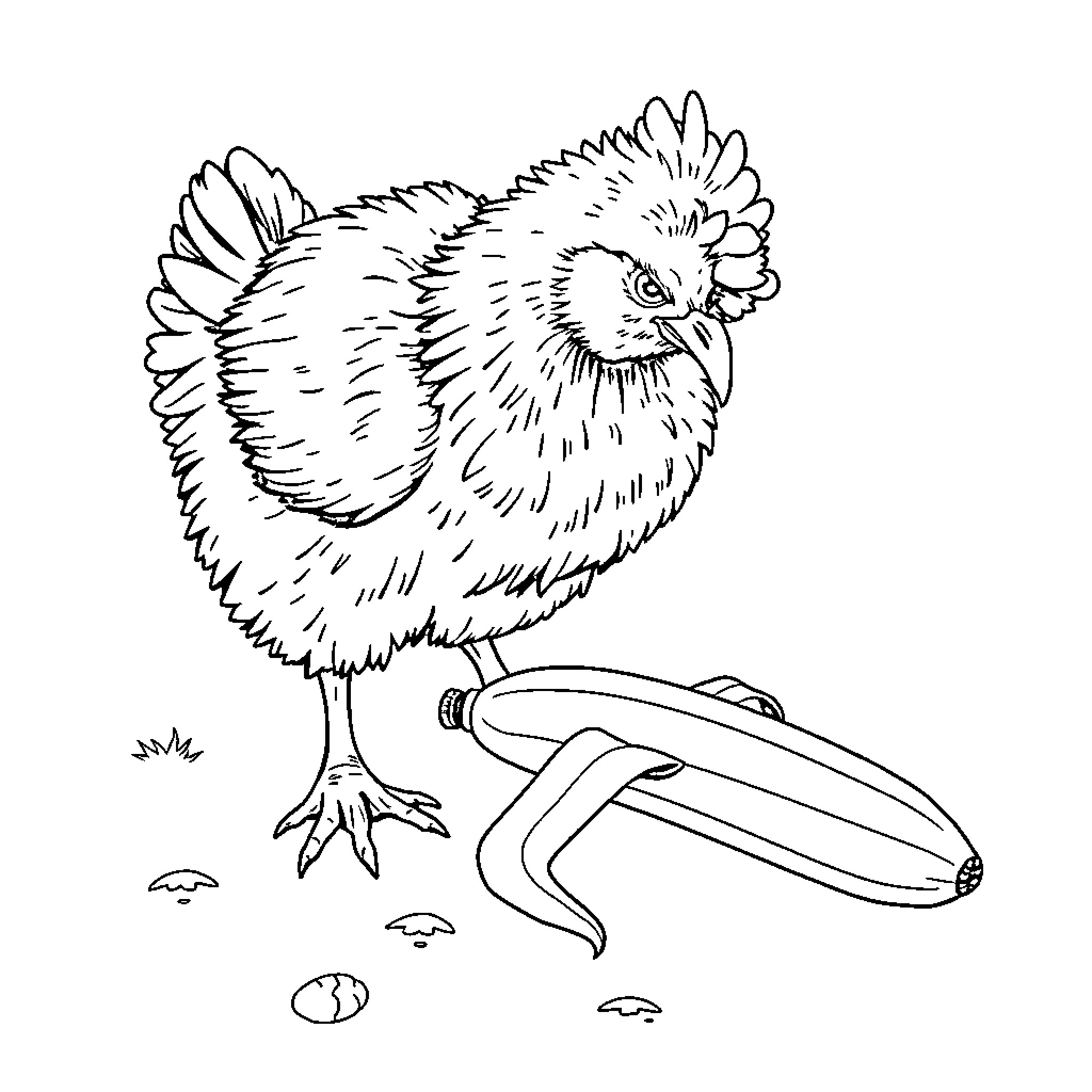 Chicken exploring the garden Coloring Page (free black-and-white line drawing printable PDF for all, from beginners to advanced learners, including children, teens, adults, and seniors)