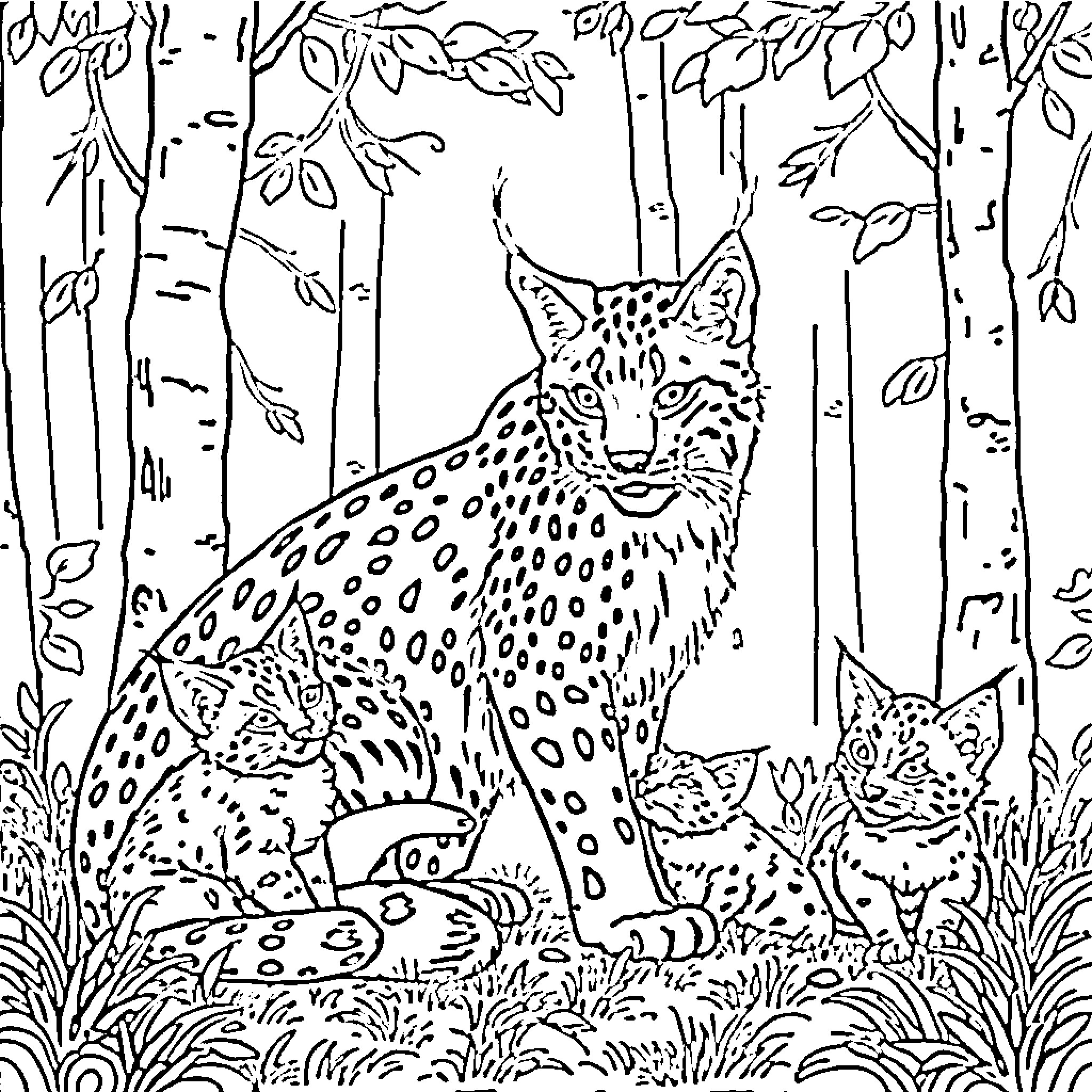 Lynx and Kittens in the Woodlands Coloring Page (free black-and-white line drawing printable PDF for all, from beginners to advanced learners, including children, teens, adults, and seniors)
