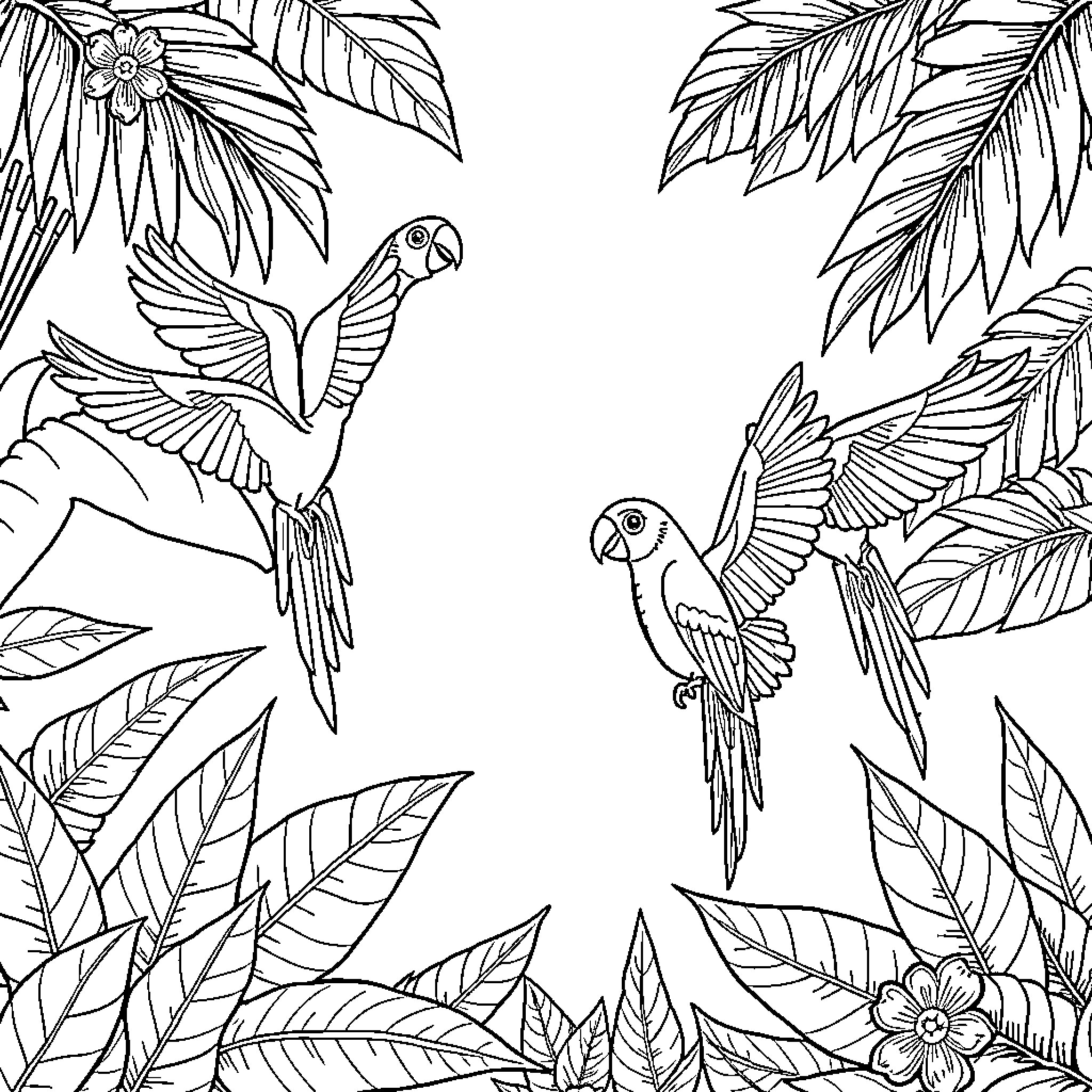 Parrot birds flying among tropical leaves Coloring Page (free black-and-white line drawing printable PDF for all, from beginners to advanced learners, including children, teens, adults, and seniors)