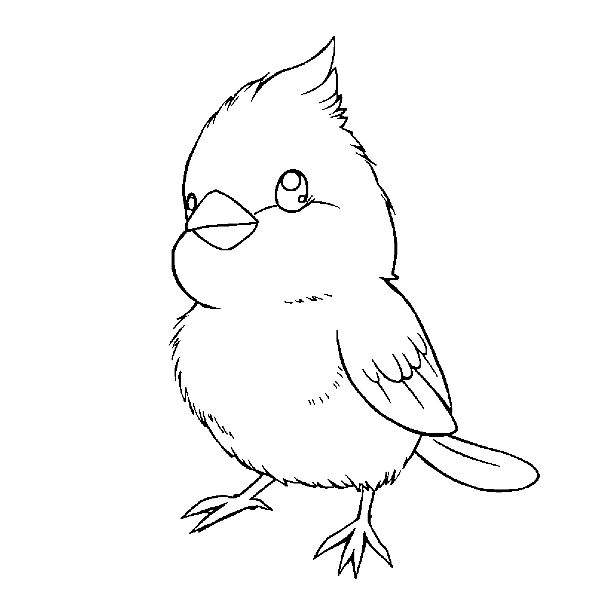 Poussacha, the Curious Chick's Whimsical Stance Coloring Page (free black-and-white line drawing printable PDF for all, from beginners to advanced learners, including children, teens, adults, and seniors)