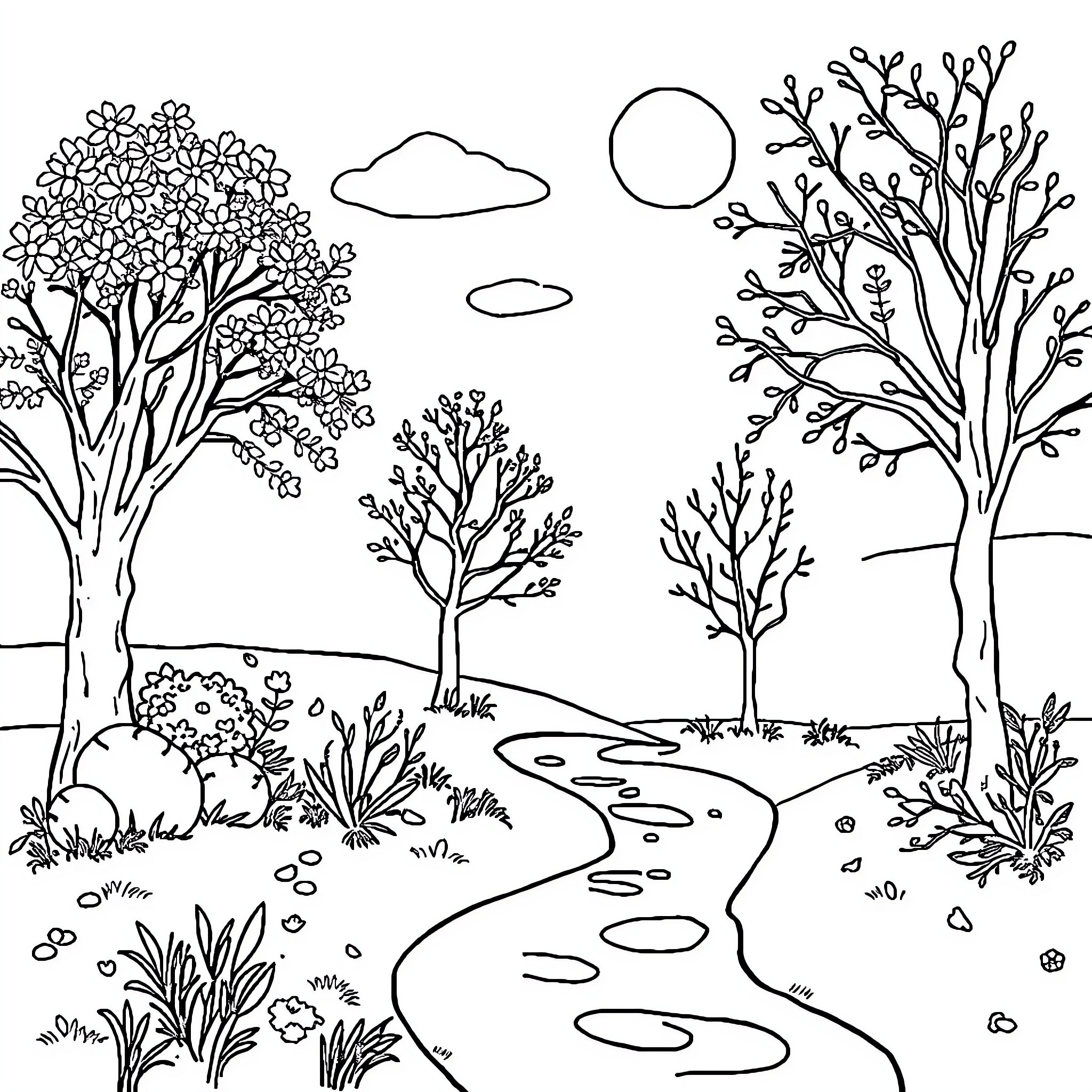 Season Landscape with Blooming Trees and Nature Trail Coloring Page (free black-and-white line drawing printable PDF for all, from beginners to advanced learners, including children, teens, adults, and seniors)