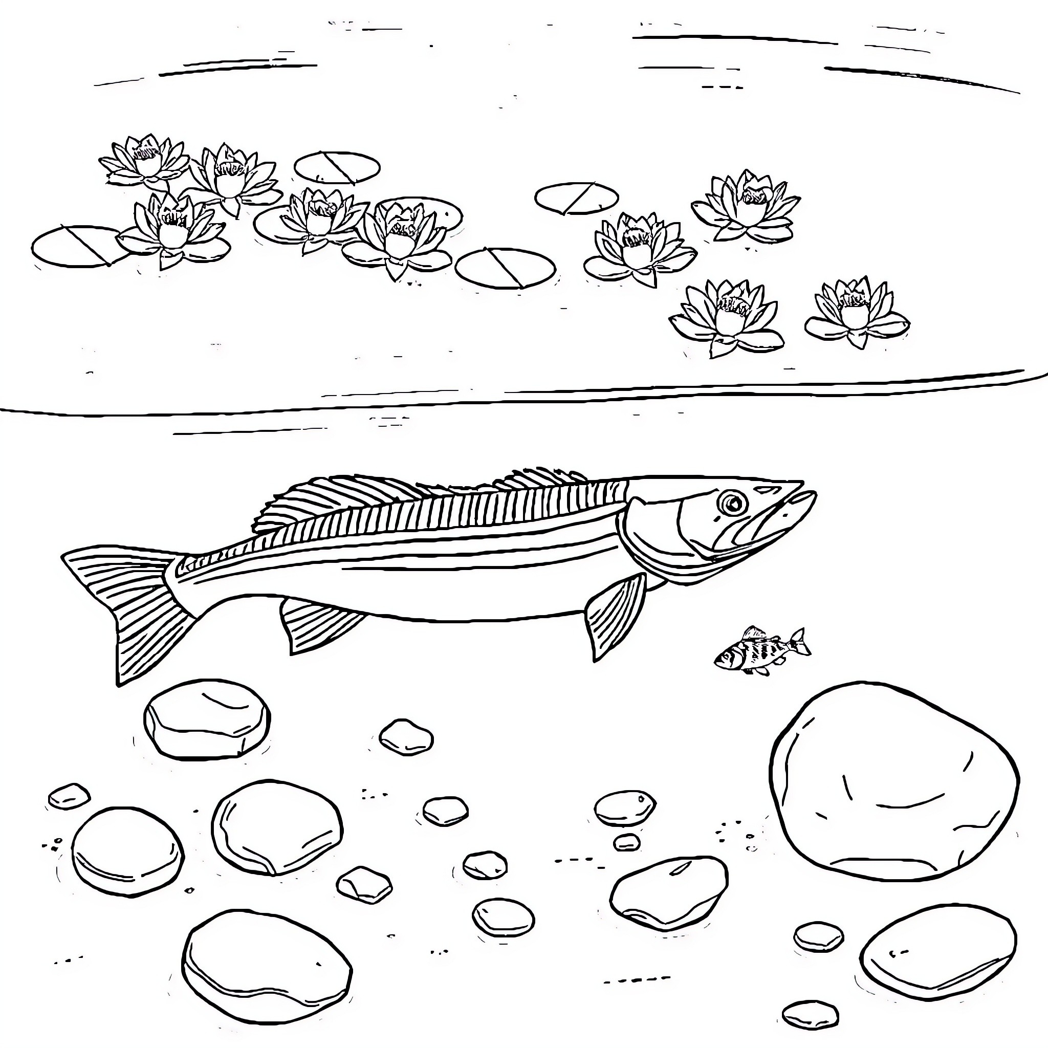 Fish swimming among water lilies in a pond Coloring Page (free black-and-white line drawing printable PDF for all, from beginners to advanced learners, including children, teens, adults, and seniors)