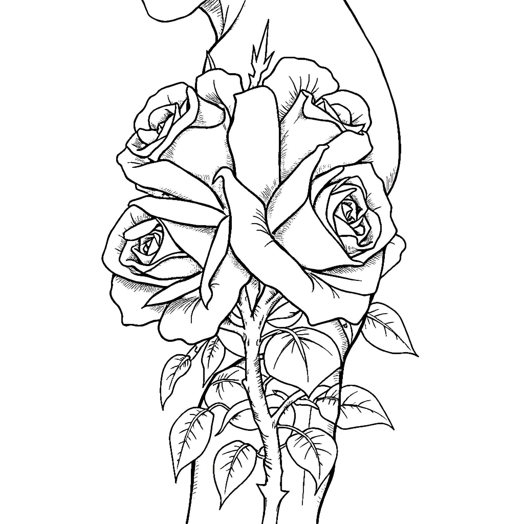 Tattoo of Intricately Drawn Roses Coloring Page (free black-and-white line drawing printable PDF for all, from beginners to advanced learners, including children, teens, adults, and seniors)