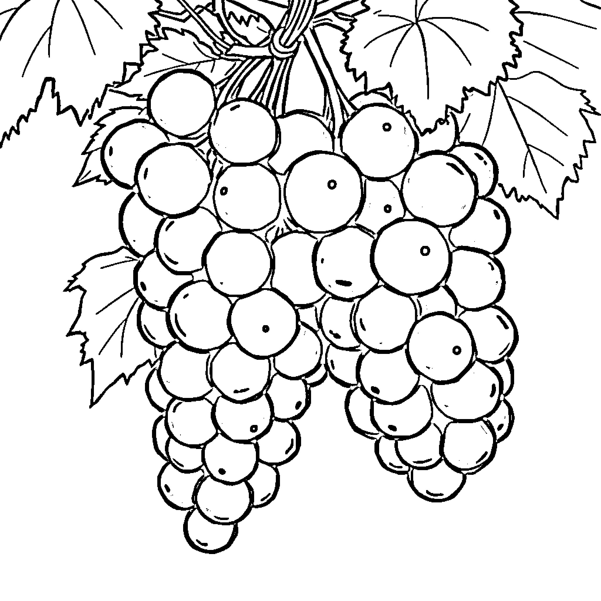 Grape cluster with leaves Coloring Page (free black-and-white line drawing printable PDF for all, from beginners to advanced learners, including children, teens, adults, and seniors)