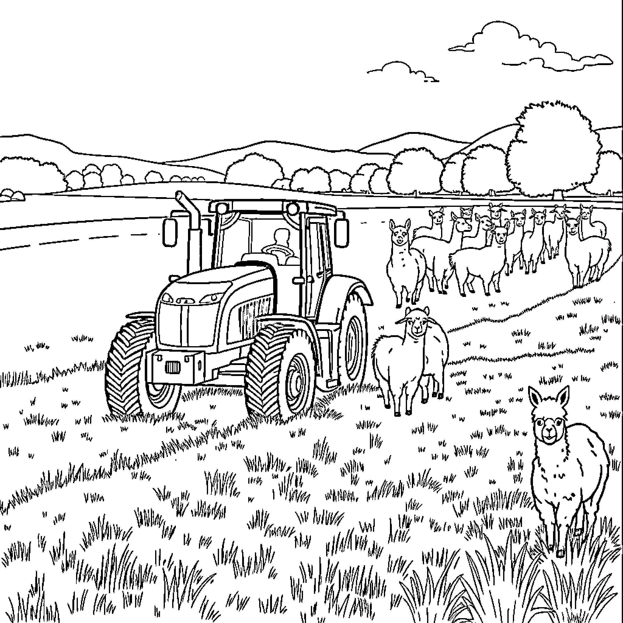 Tractor plowing field with grazing llamas Coloring Page (free black-and-white line drawing printable PDF for all, from beginners to advanced learners, including children, teens, adults, and seniors)