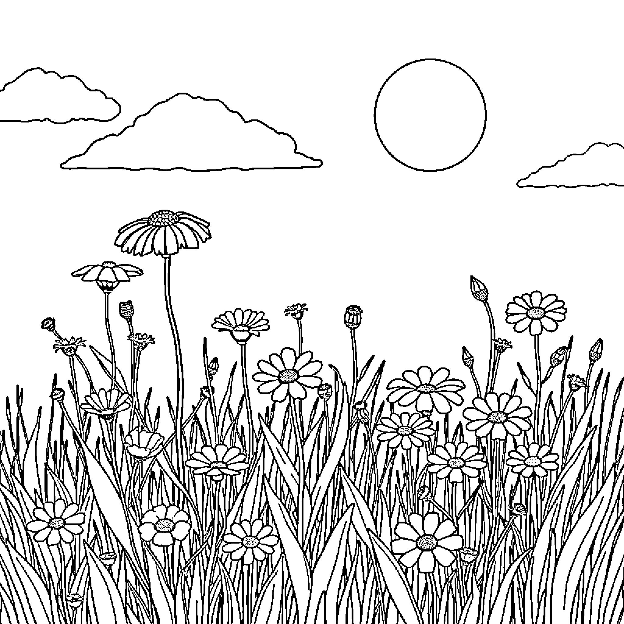 Wildflower meadow under the sun Coloring Page (free black-and-white line drawing printable PDF for all, from beginners to advanced learners, including children, teens, adults, and seniors)