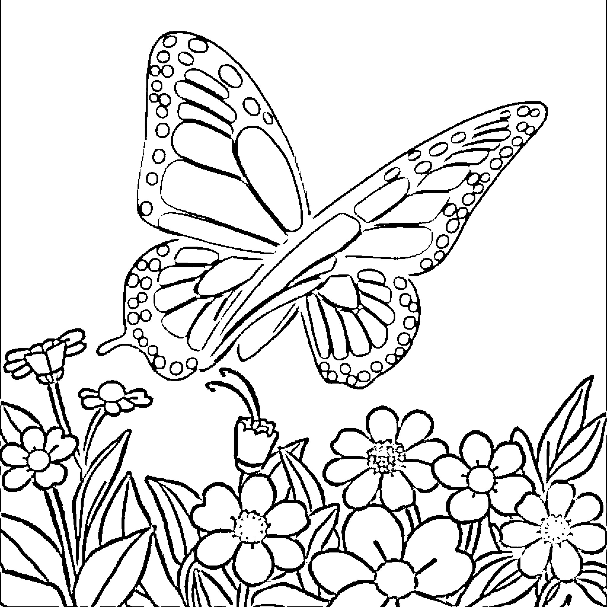 Butterfly flying over blooming flowers Coloring Page (free black-and-white line drawing printable PDF for all, from beginners to advanced learners, including children, teens, adults, and seniors)