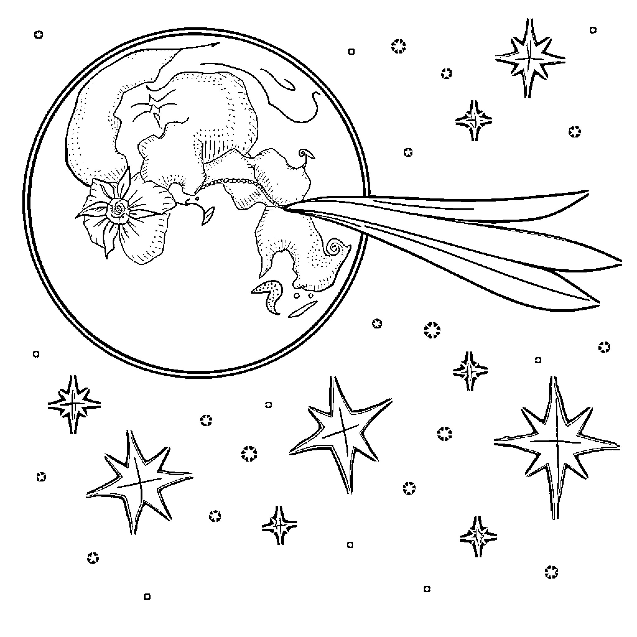 Moon dance among the stars Coloring Page (free black-and-white line drawing printable PDF for all, from beginners to advanced learners, including children, teens, adults, and seniors)