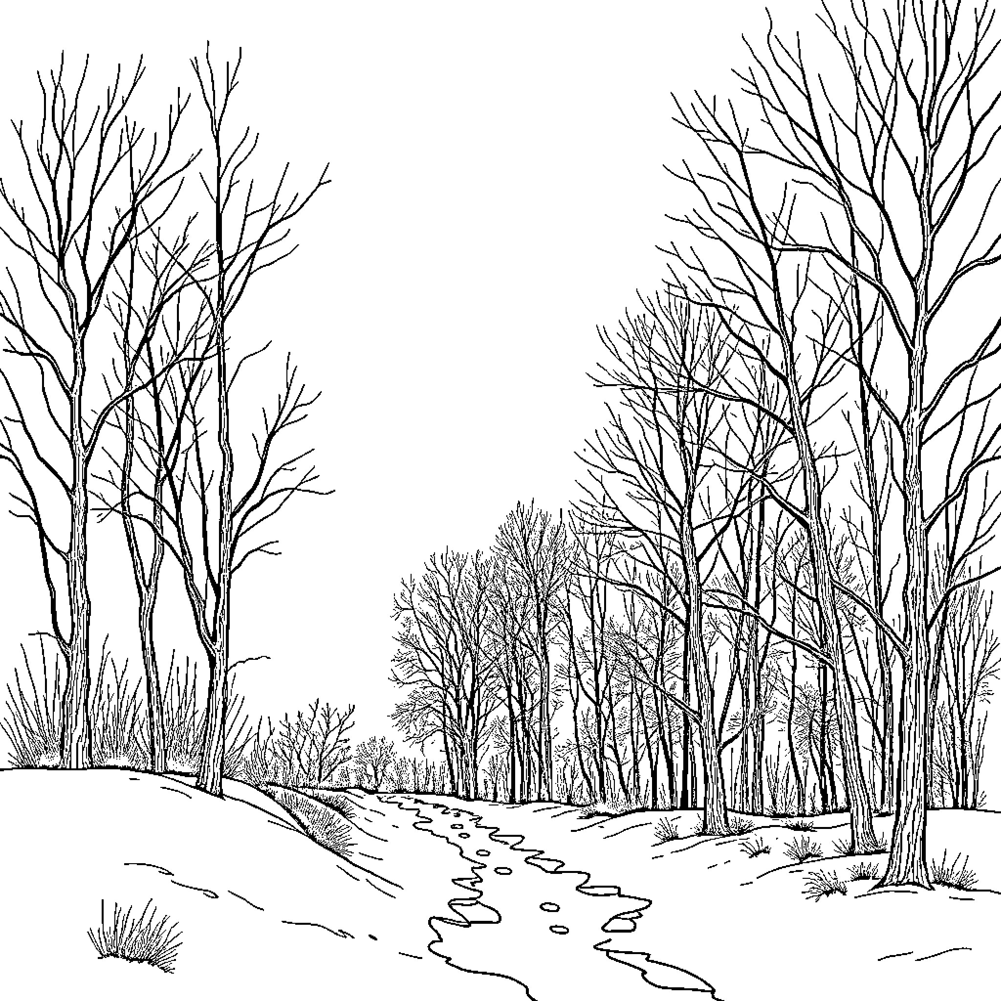 Winter Forest Path Landscape Coloring Page (free black-and-white line drawing printable PDF for all, from beginners to advanced learners, including children, teens, adults, and seniors)
