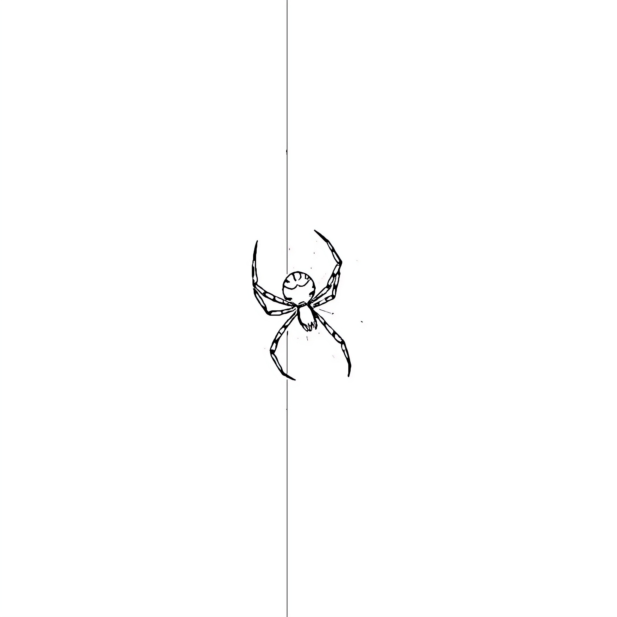 Spider weaving a web Coloring Page (free black-and-white line drawing printable PDF for all, from beginners to advanced learners, including children, teens, adults, and seniors)