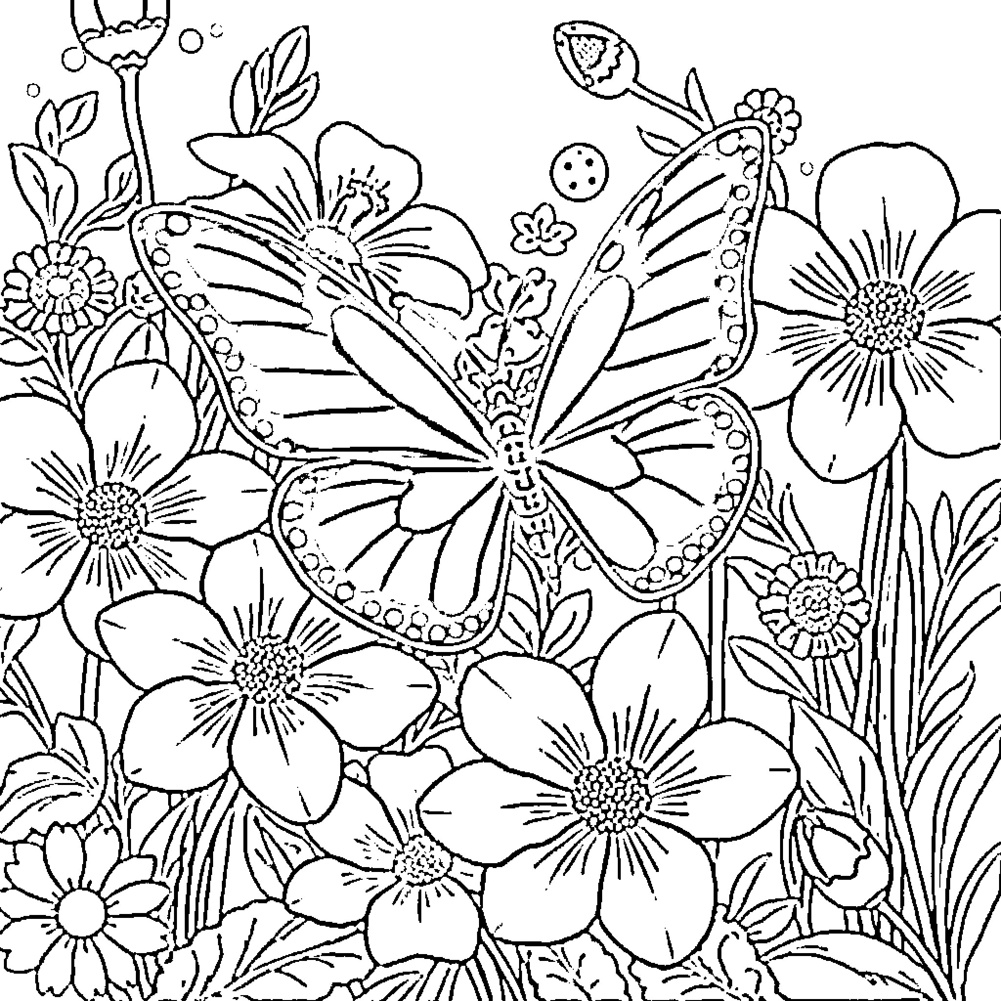 Butterfly in a Floral Garden Coloring Page (free black-and-white line drawing printable PDF for all, from beginners to advanced learners, including children, teens, adults, and seniors)
