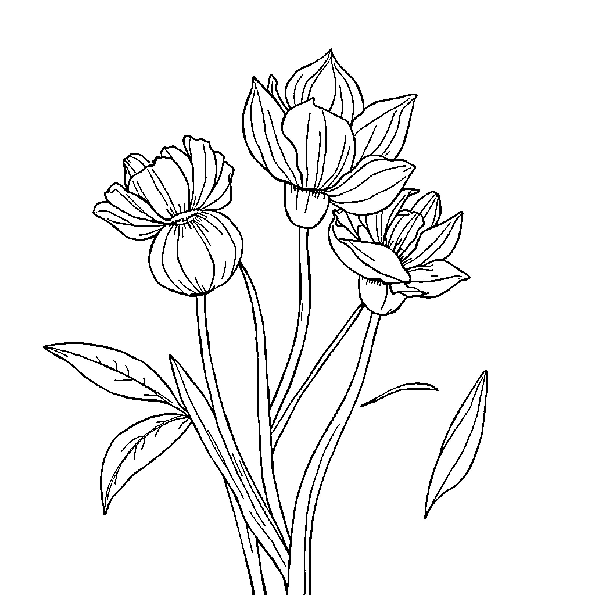 Nuancier Blooming Flowers in Elegant Sketch Coloring Page (free black-and-white line drawing printable PDF for all, from beginners to advanced learners, including children, teens, adults, and seniors)