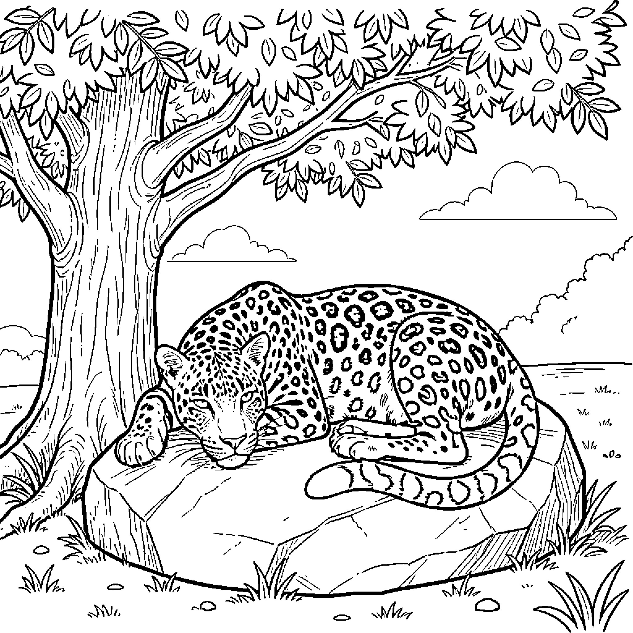 Leopard resting peacefully on a large rock Coloring Page (free black-and-white line drawing printable PDF for all, from beginners to advanced learners, including children, teens, adults, and seniors)