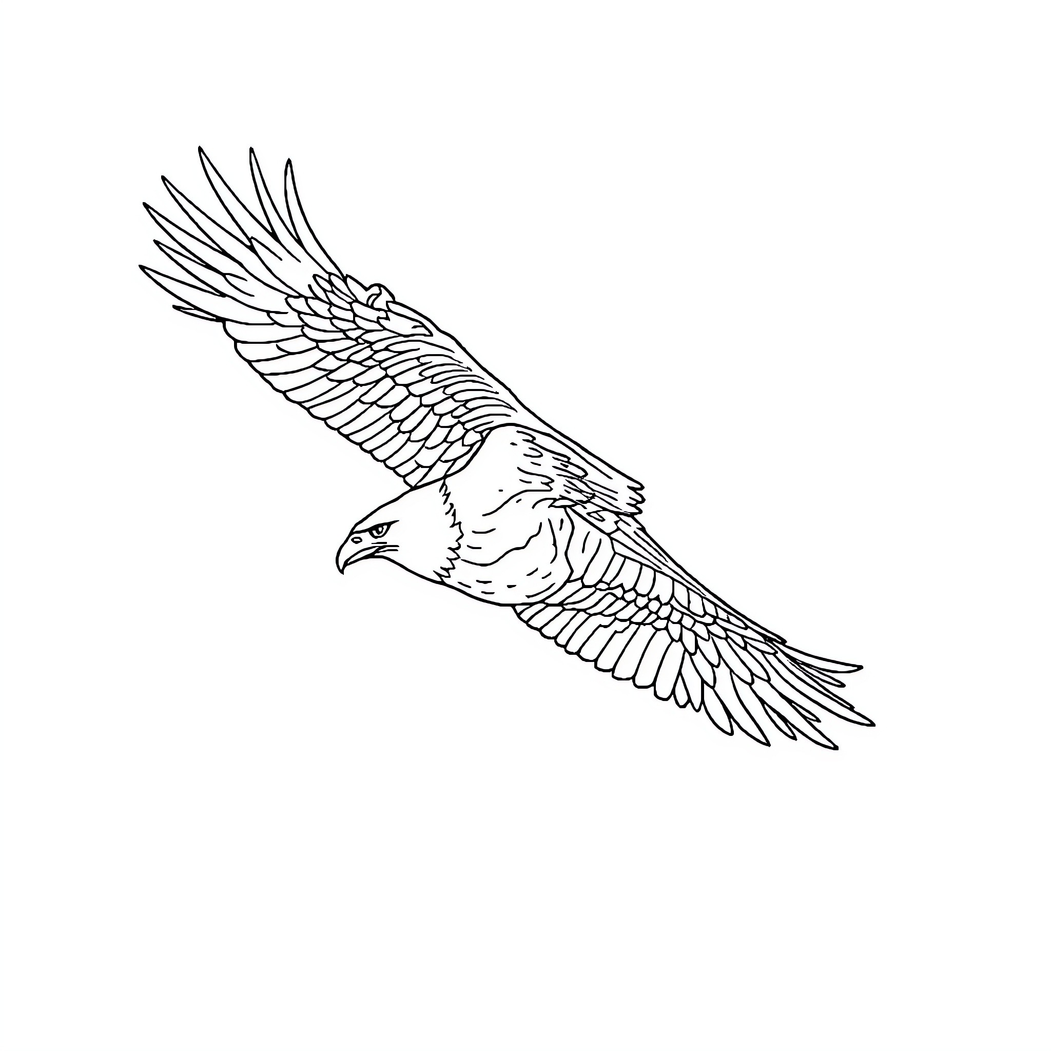 Eagle soaring gracefully through the sky Coloring Page (free black-and-white line drawing printable PDF for all, from beginners to advanced learners, including children, teens, adults, and seniors)
