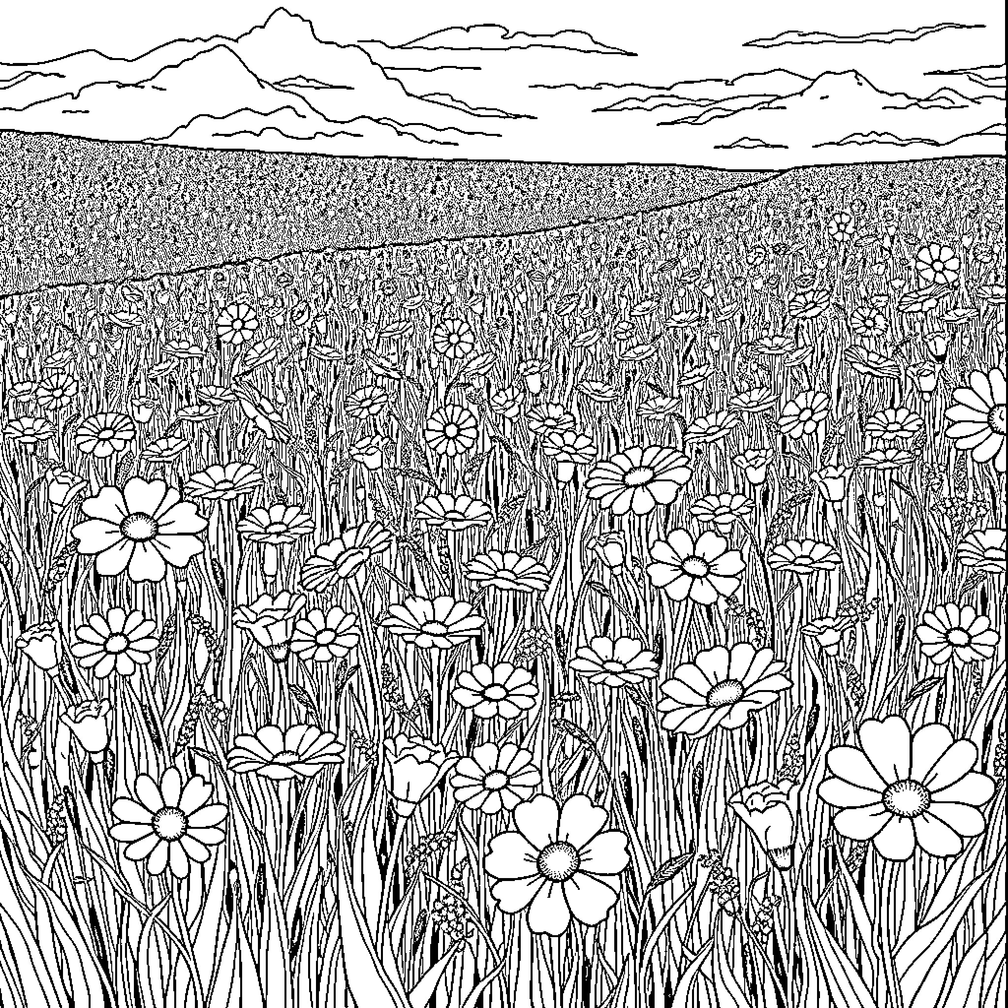 Flower field with mountain scenery Coloring Page (free black-and-white line drawing printable PDF for all, from beginners to advanced learners, including children, teens, adults, and seniors)