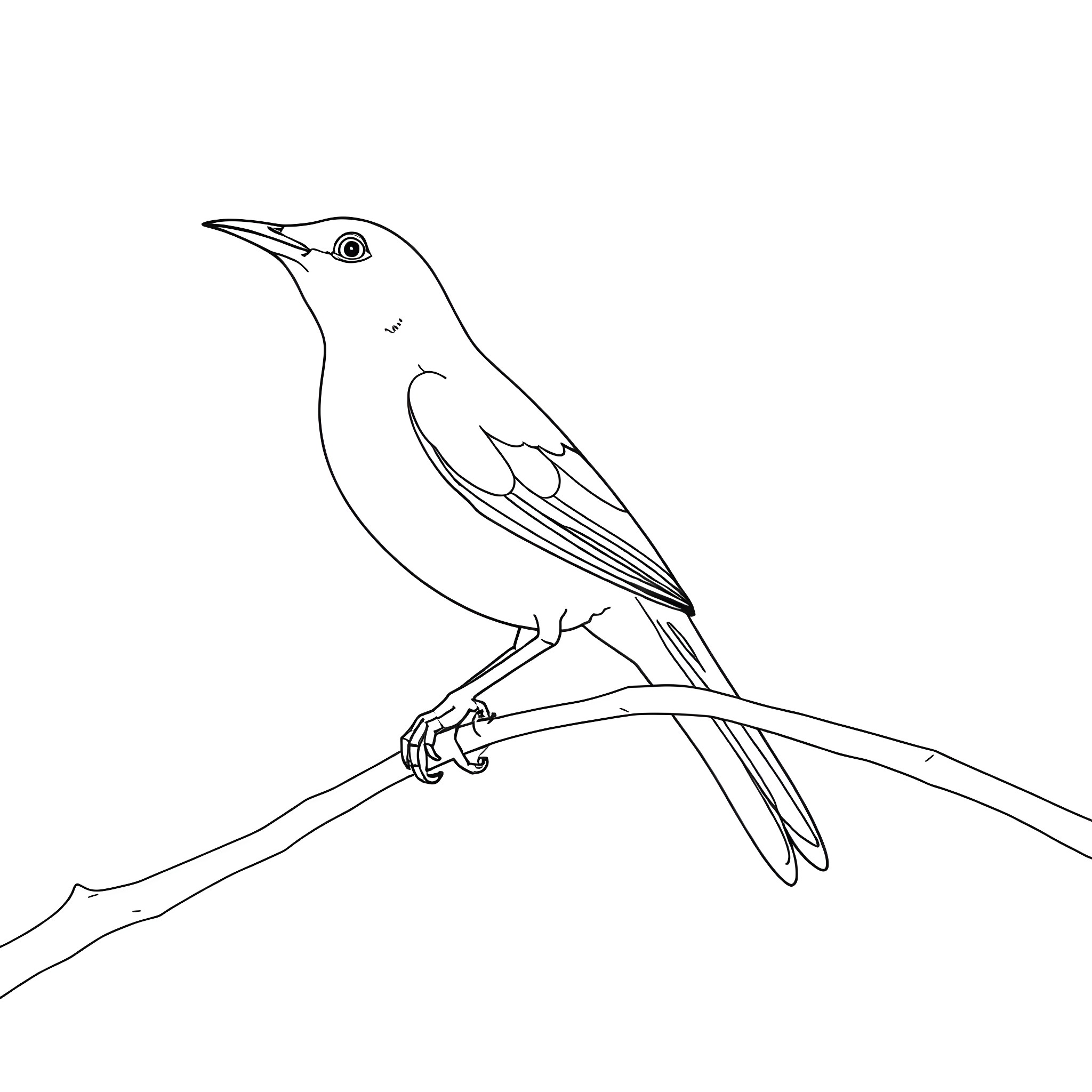 Calyptomena bird perched on a branch Coloring Page (free black-and-white line drawing printable PDF for all, from beginners to advanced learners, including children, teens, adults, and seniors)