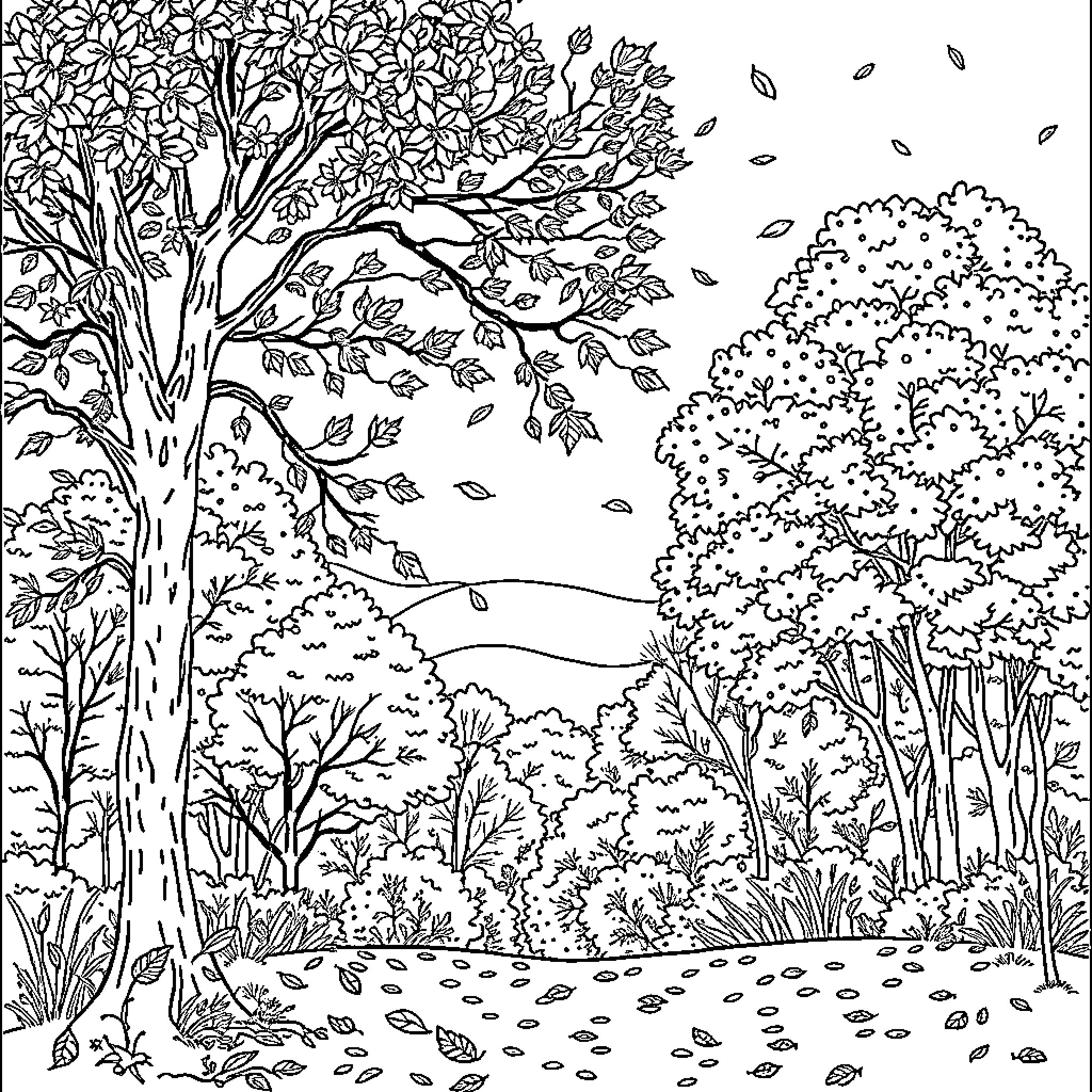 Autumn Landscape with Falling Leaves Coloring Page (free black-and-white line drawing printable PDF for all, from beginners to advanced learners, including children, teens, adults, and seniors)