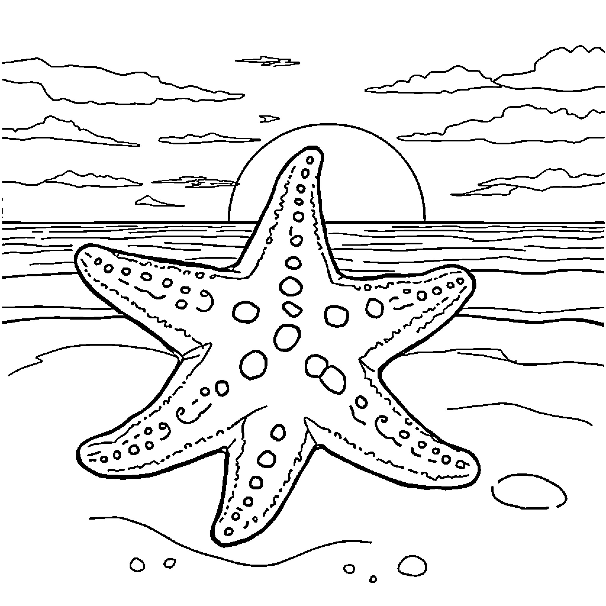 Sea Star on the Beach at Sunset Coloring Page (free black-and-white line drawing printable PDF for all, from beginners to advanced learners, including children, teens, adults, and seniors)