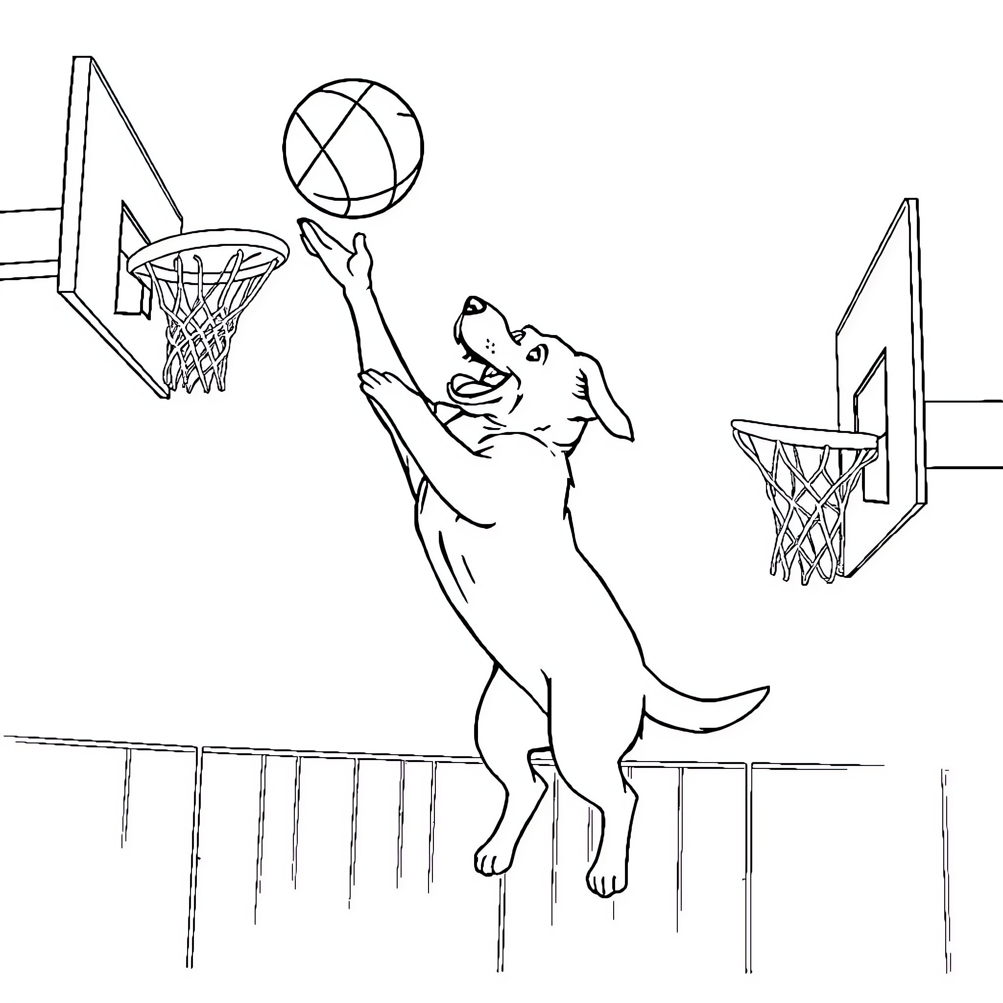 Labrador jumping to play basketball Coloring Page (free black-and-white line drawing printable PDF for all, from beginners to advanced learners, including children, teens, adults, and seniors)