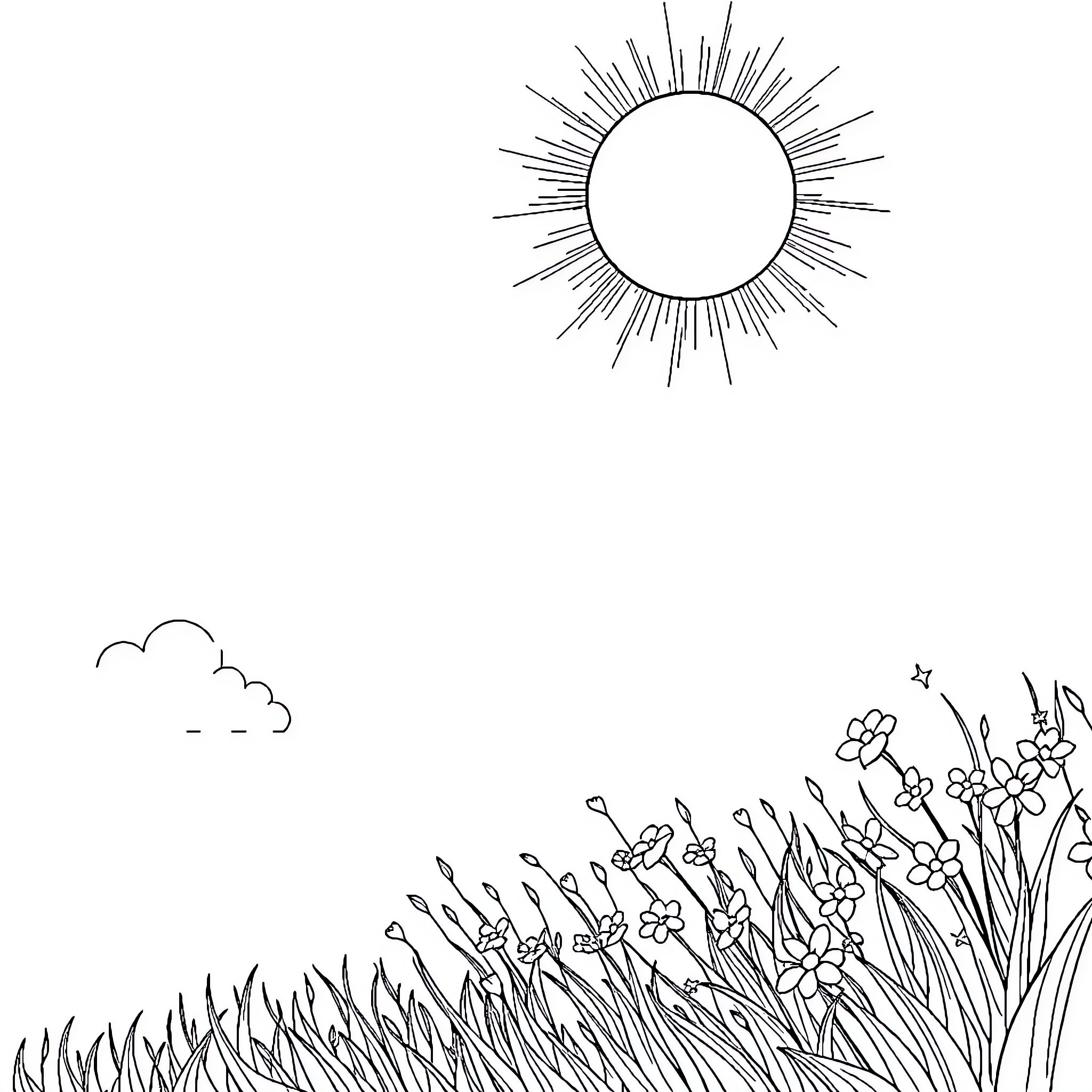 Summer sun shining over blooming flowers Coloring Page (free black-and-white line drawing printable PDF for all, from beginners to advanced learners, including children, teens, adults, and seniors)