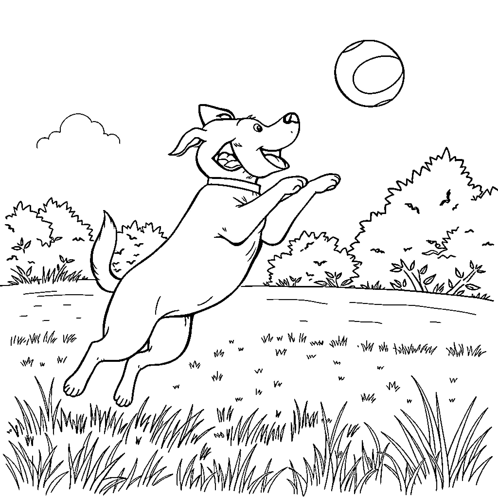 Dog happily chasing a ball in the park Coloring Page (free black-and-white line drawing printable PDF for all, from beginners to advanced learners, including children, teens, adults, and seniors)